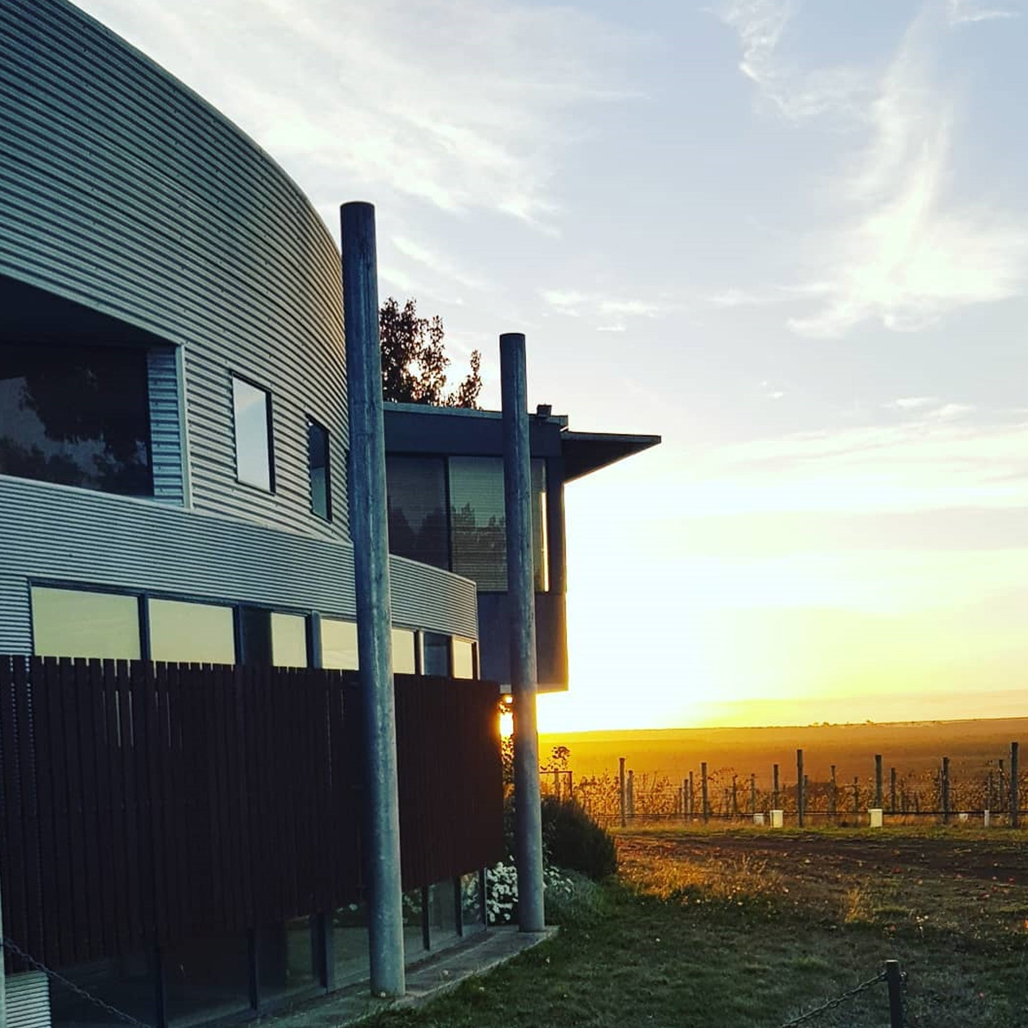 Crawford River Riesling 2024