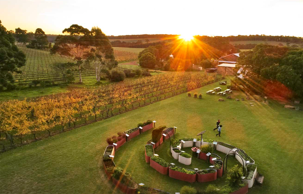 Cullen Wines Kevin John Chardonnay 2020 - Kent Street Cellars
