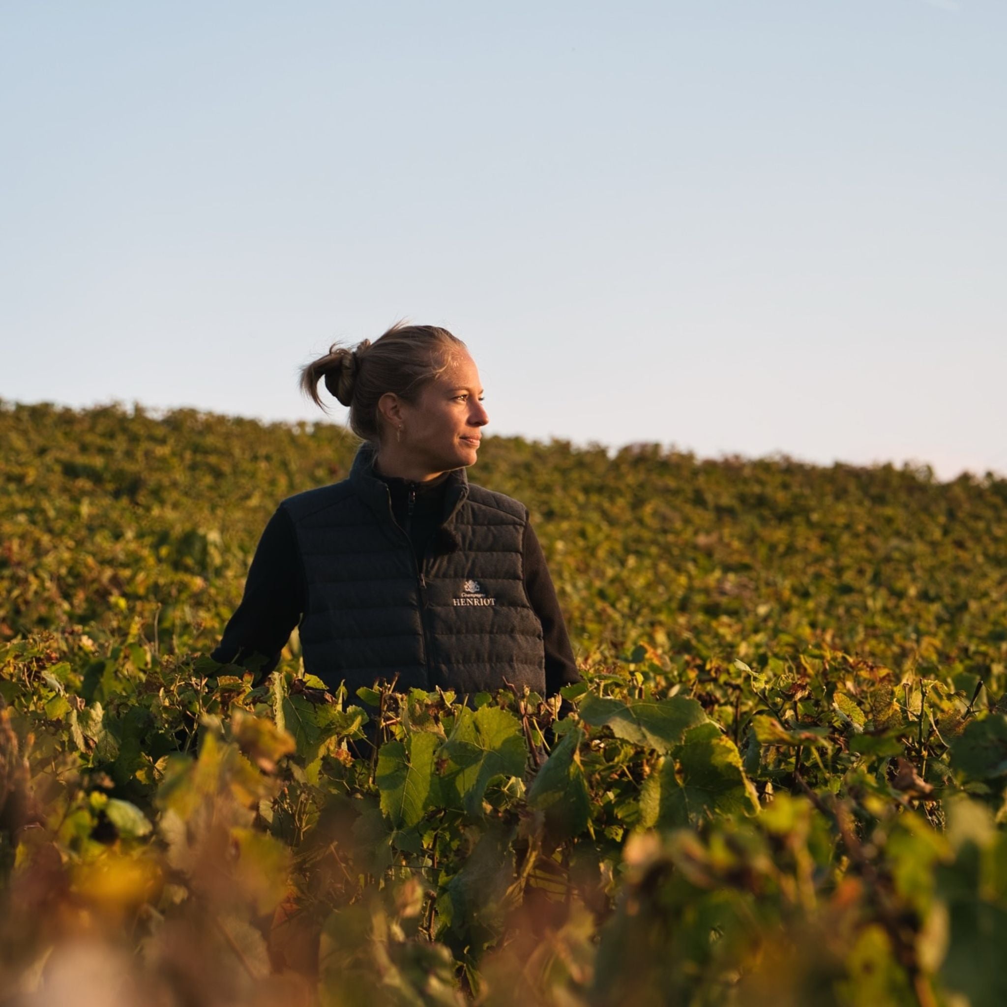 Henriot Brut Souverain NV