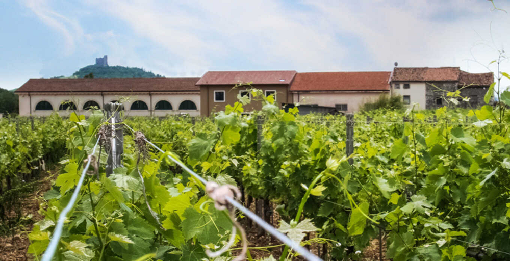 Dal Forno Romano Valpolicella Superiore 2017