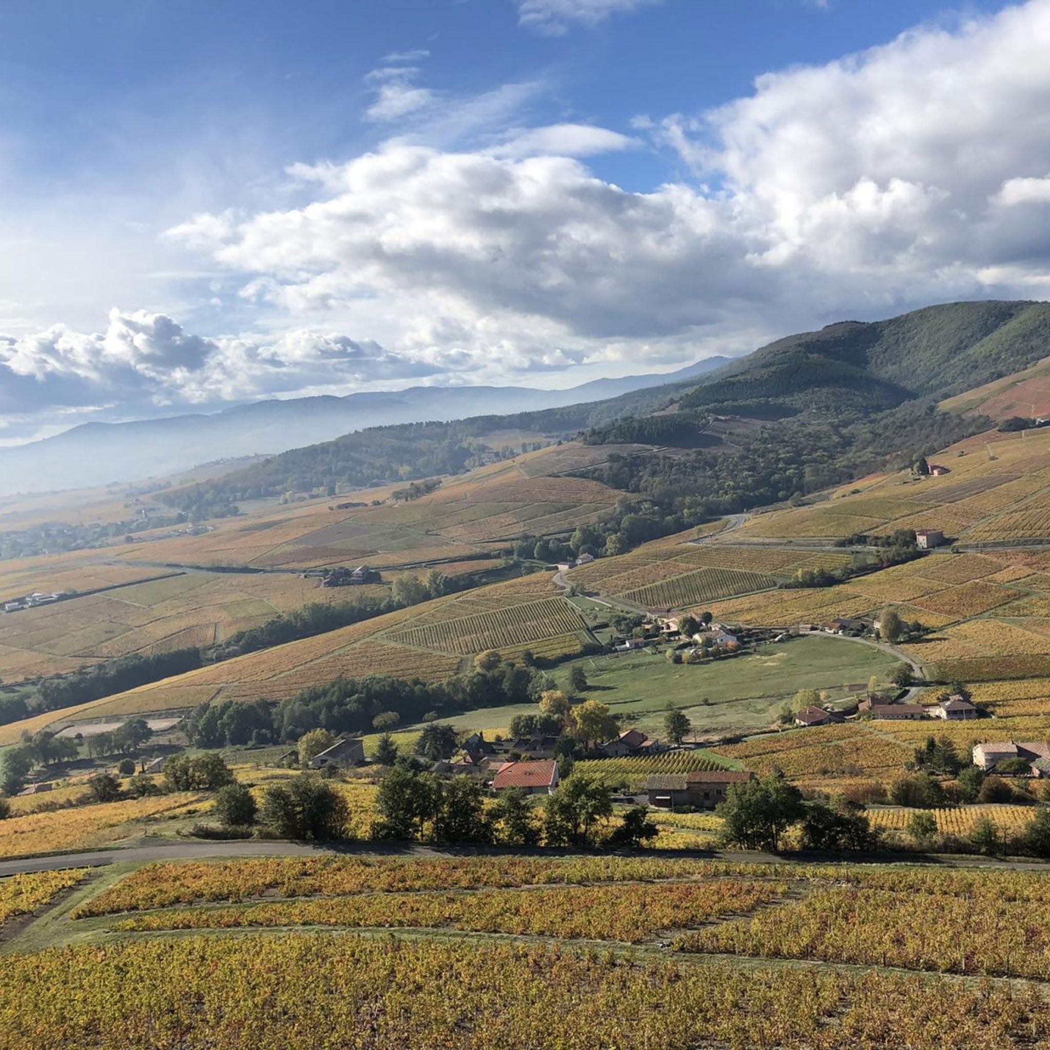 Daniel Bouland Chiroubles Chatenay 2022 1.5L