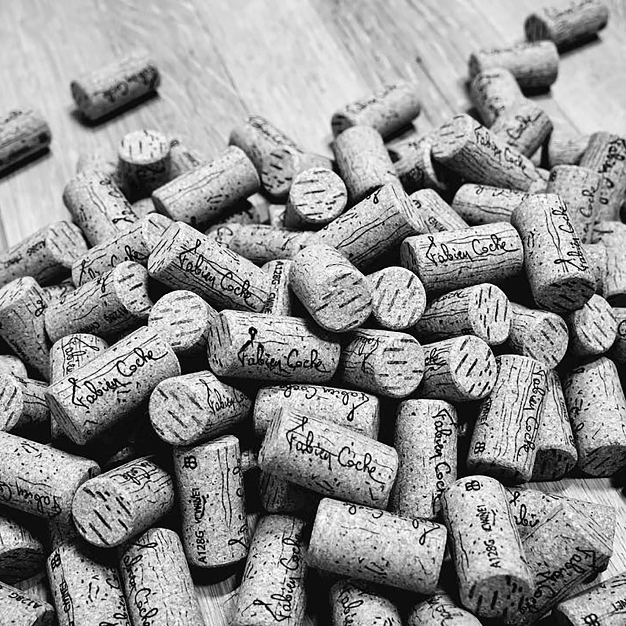 Domaine Fabien Coche Bourgogne Grandes Coutures Chardonnay 2022