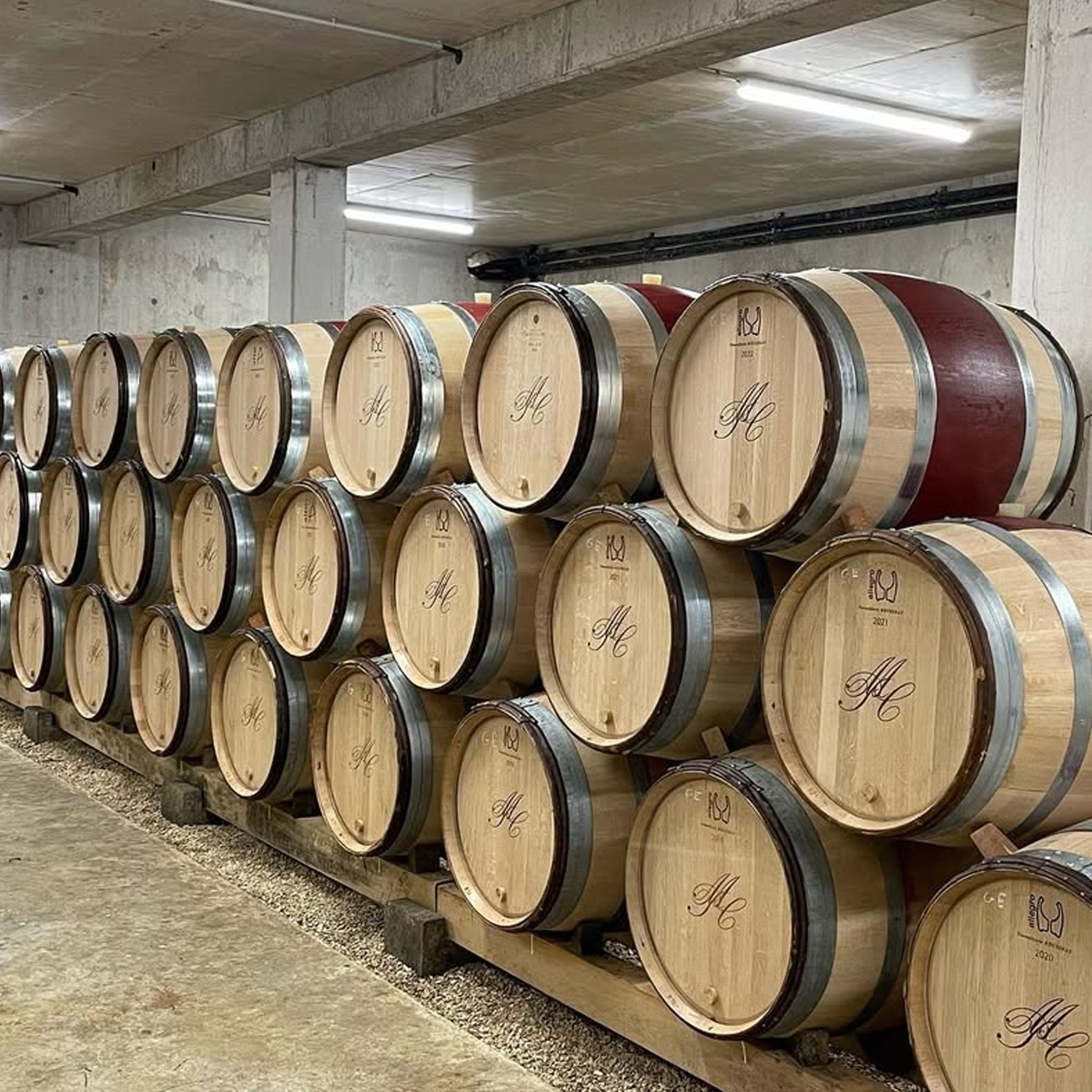 Domaine Collotte Gevrey-Chambertin Les Evocelles 2022