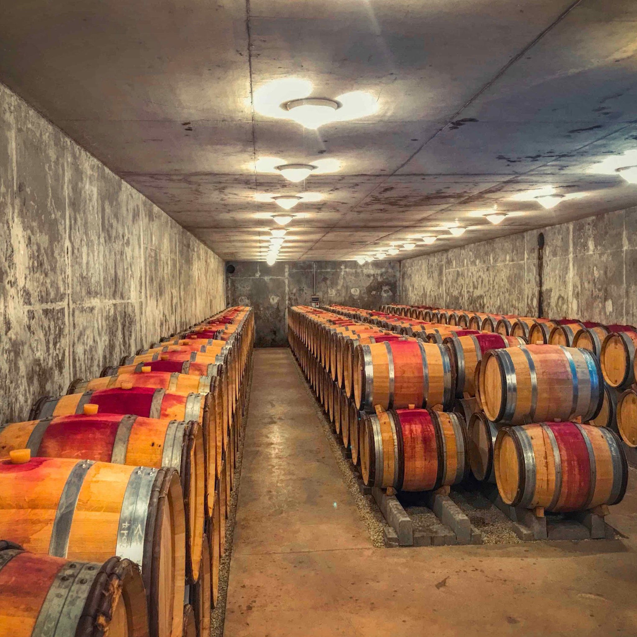 Philosophy | Domaine Lignier-Michelot