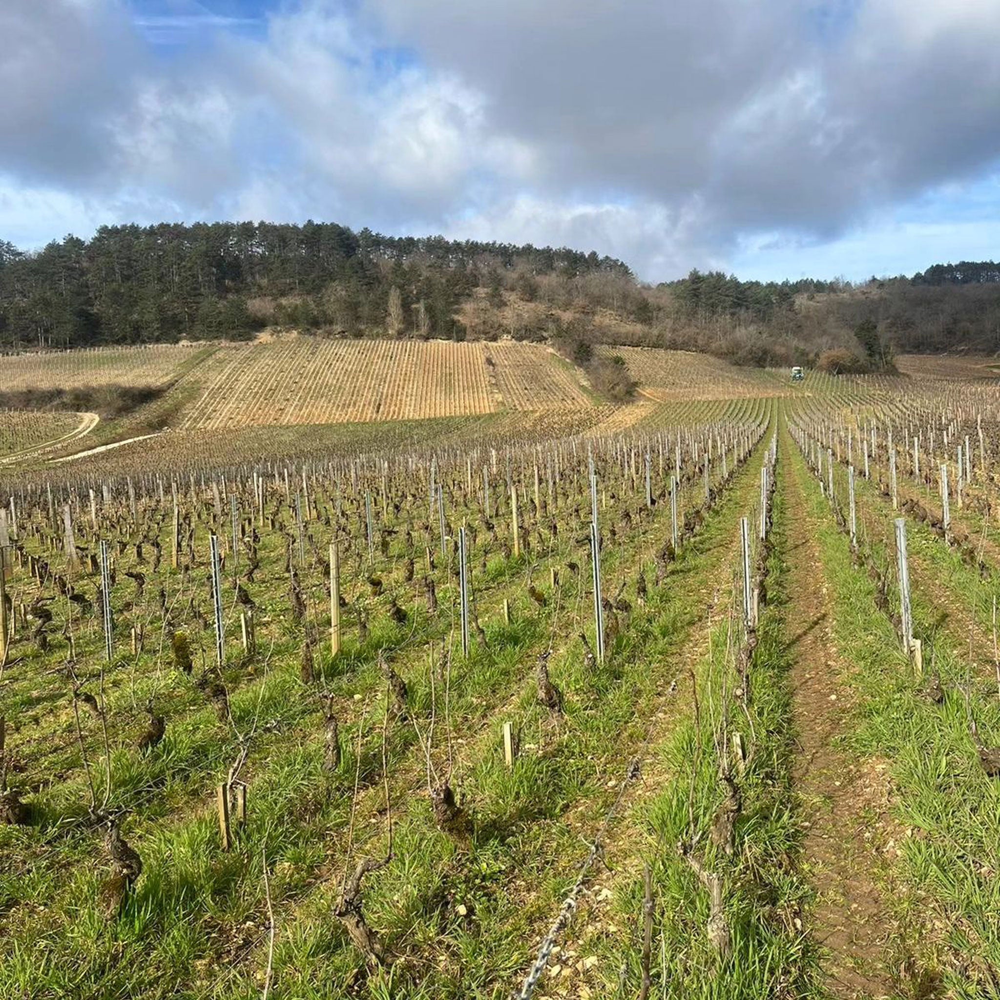 Domaine Fabien Coche Bourgogne Grandes Coutures Chardonnay 2022