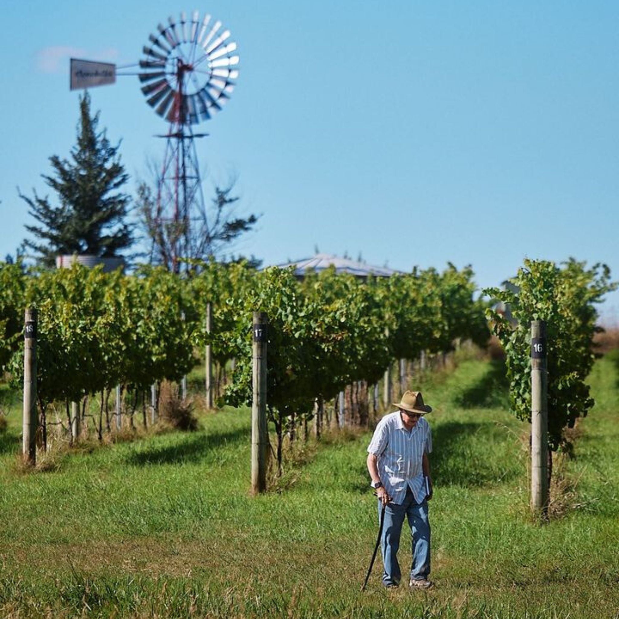 Clonakilla Viognier 2023