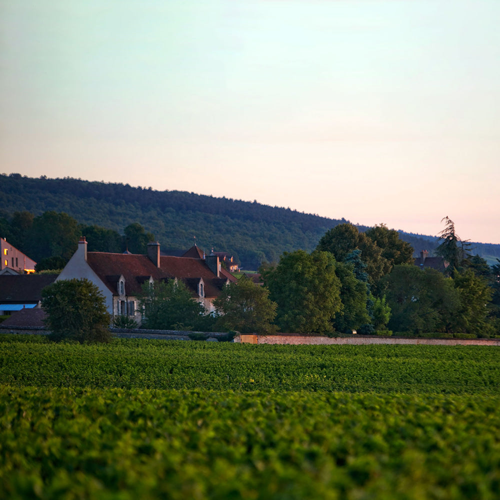 Domaine Dujac Morey Saint Denis 1er Cru Rouge 2021