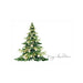 Evergreen Christmas Gift Card - Kent Street Cellars