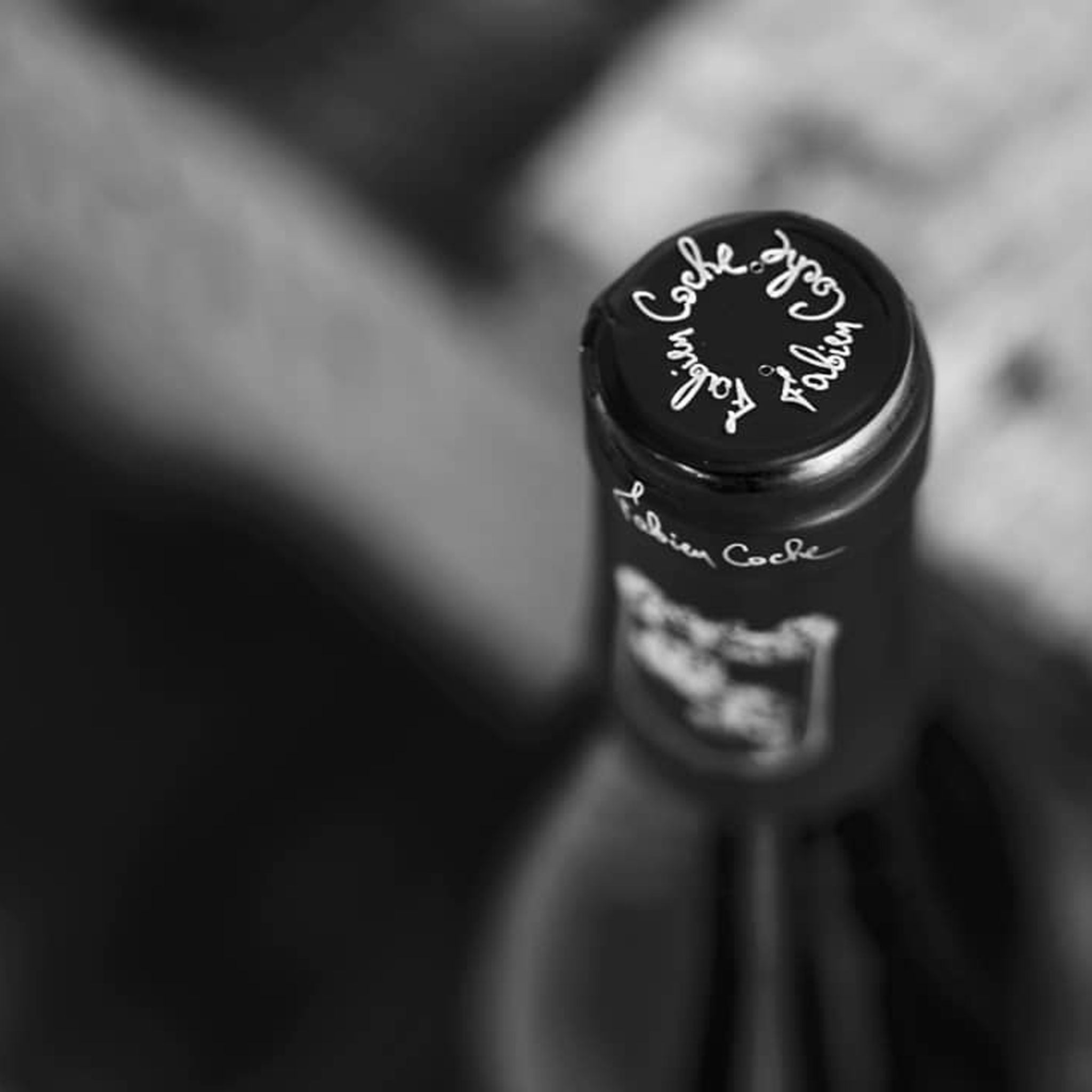 Domaine Fabien Coche