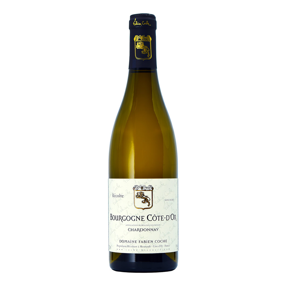 Domaine Fabien Coche Bourgogne Cote d'Or Blanc 2020 - Kent Street Cellars