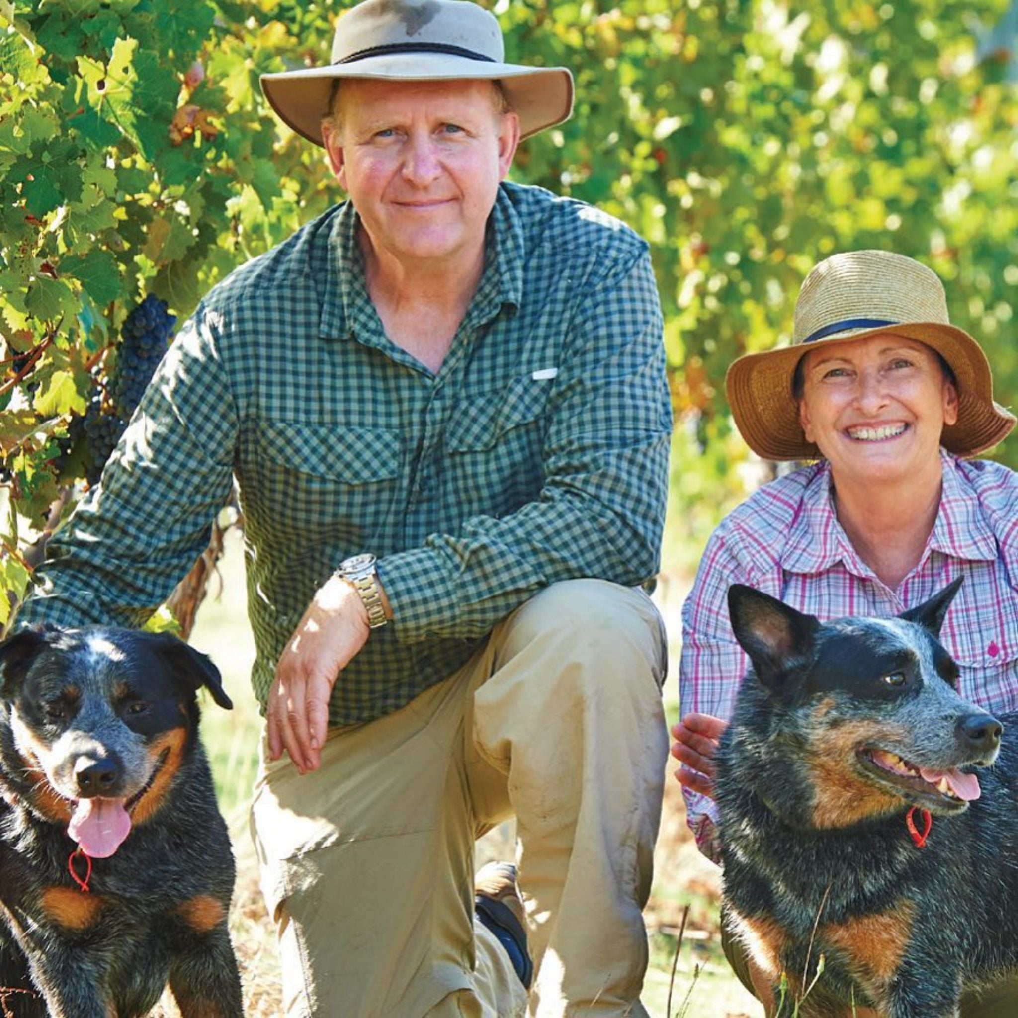 Moss Wood Chardonnay 2023