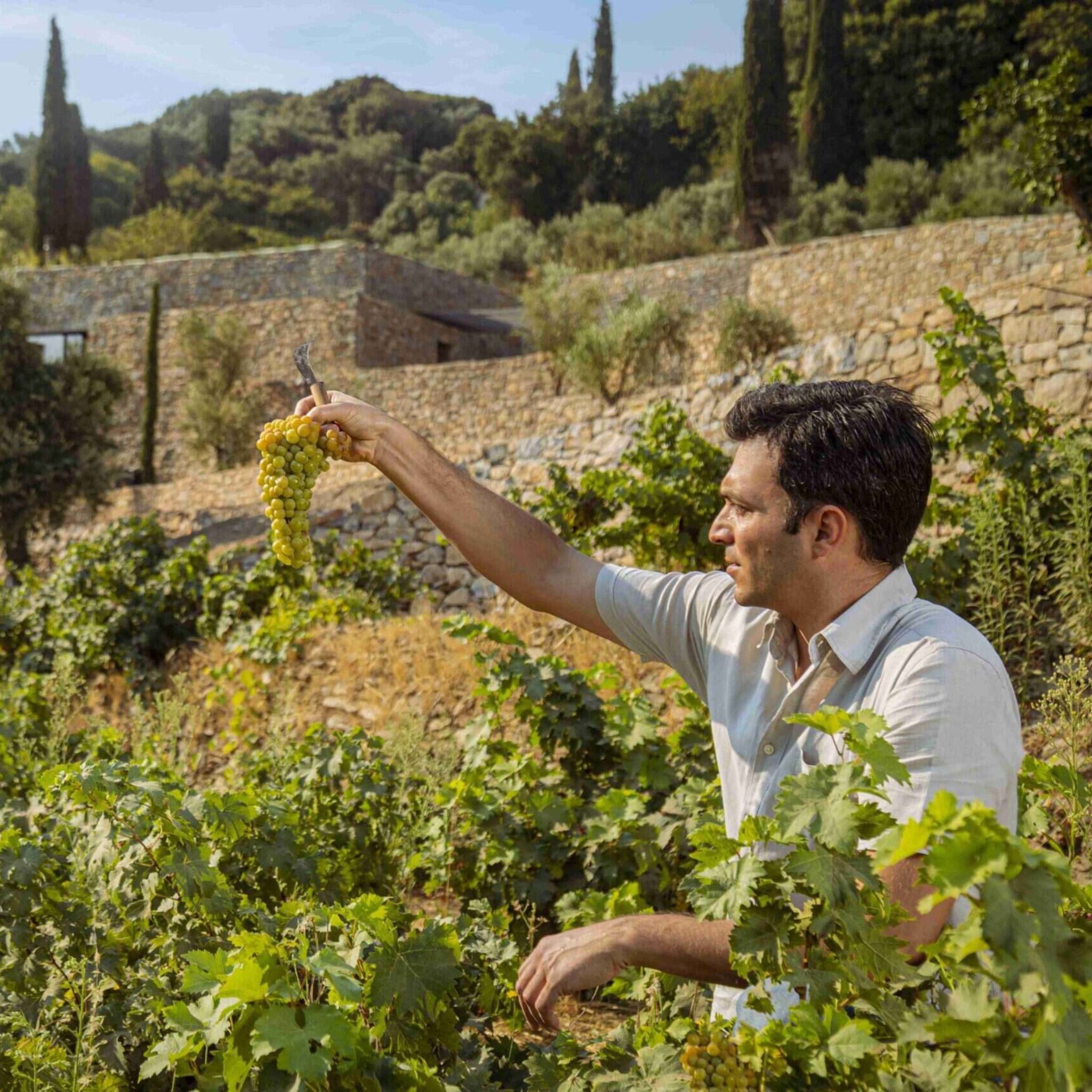 Metaxa Private Reserve Brandy 700ml