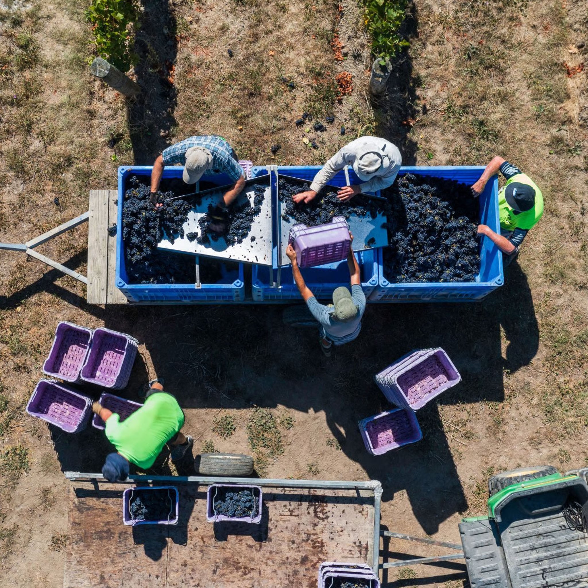 Felton Road Bannockburn Pinot Noir 2024