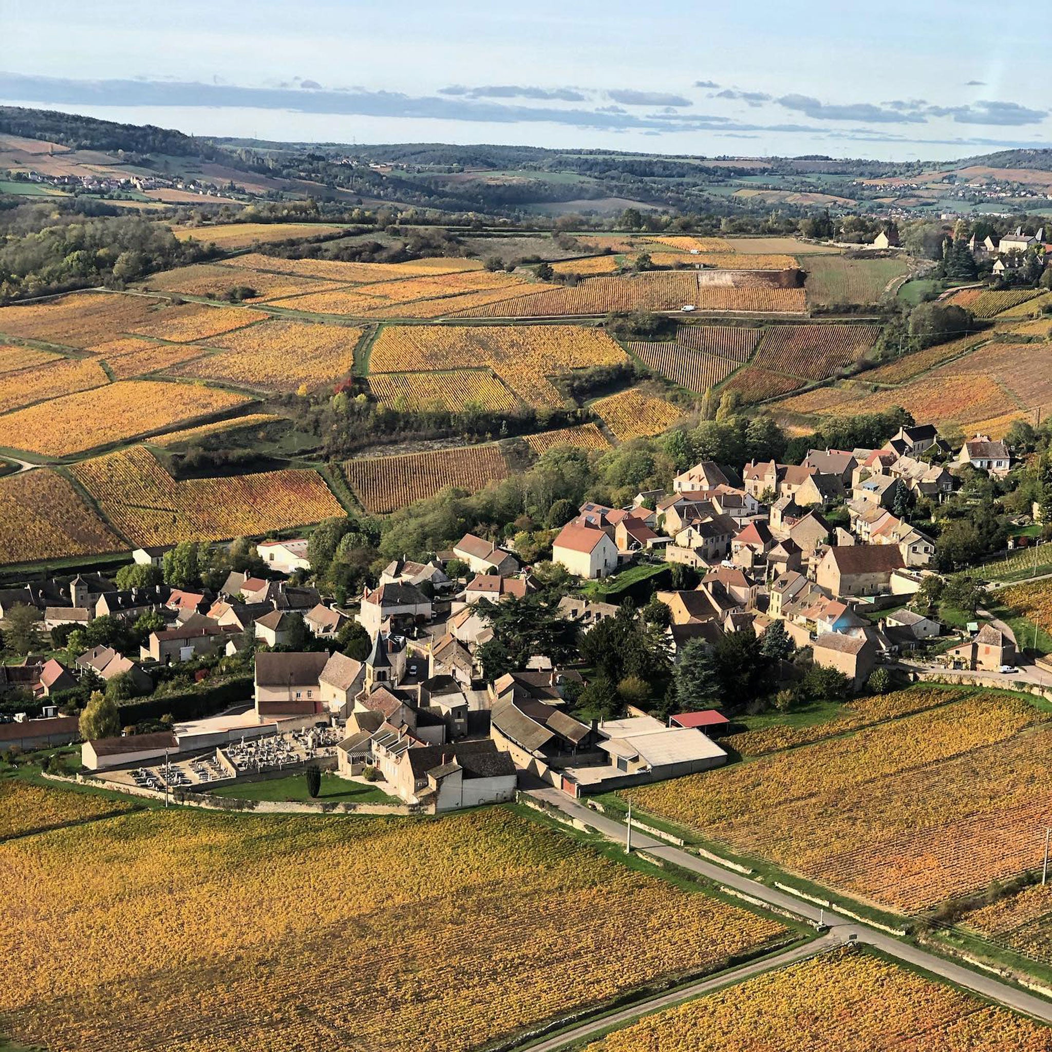 Domaine Lucien Muzard Bourgogne Rouge 2022