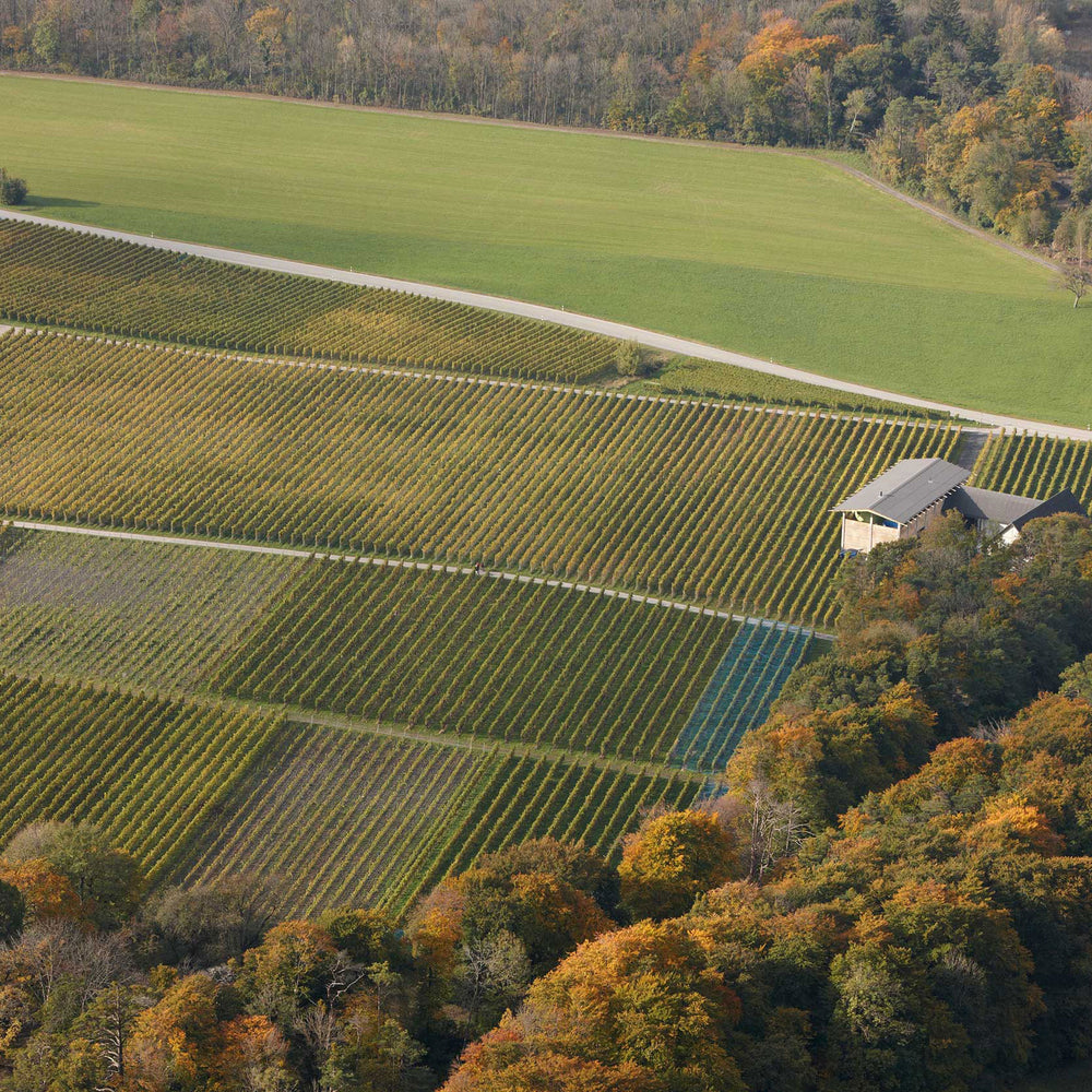 Gantenbein Pinot Noir 2022