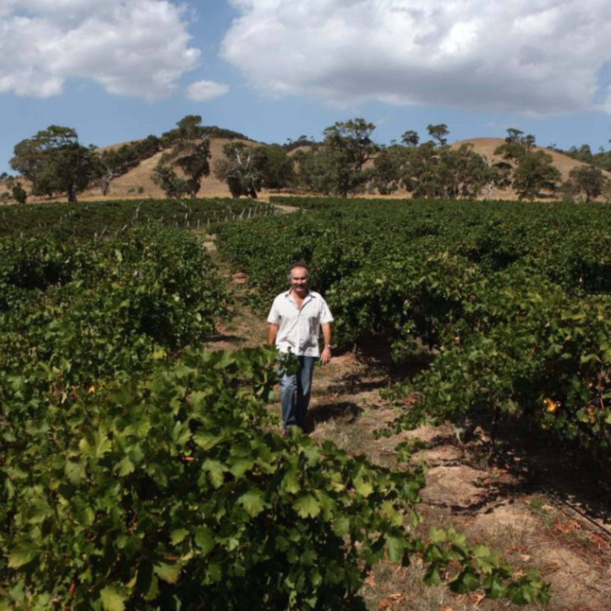 Geoff Merrill Henley Shiraz 2008