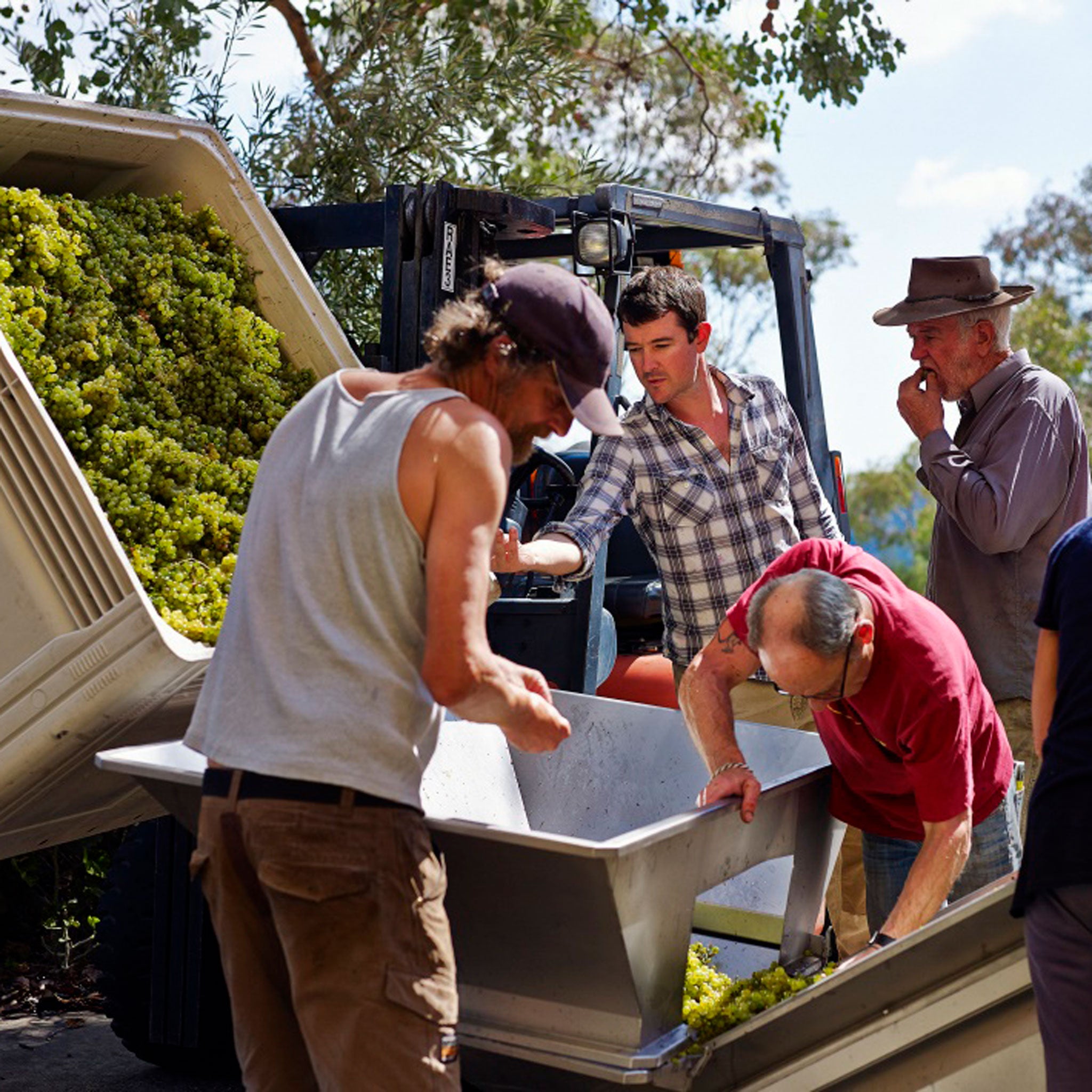 Giaconda Beechworth Nebbiolo 2021