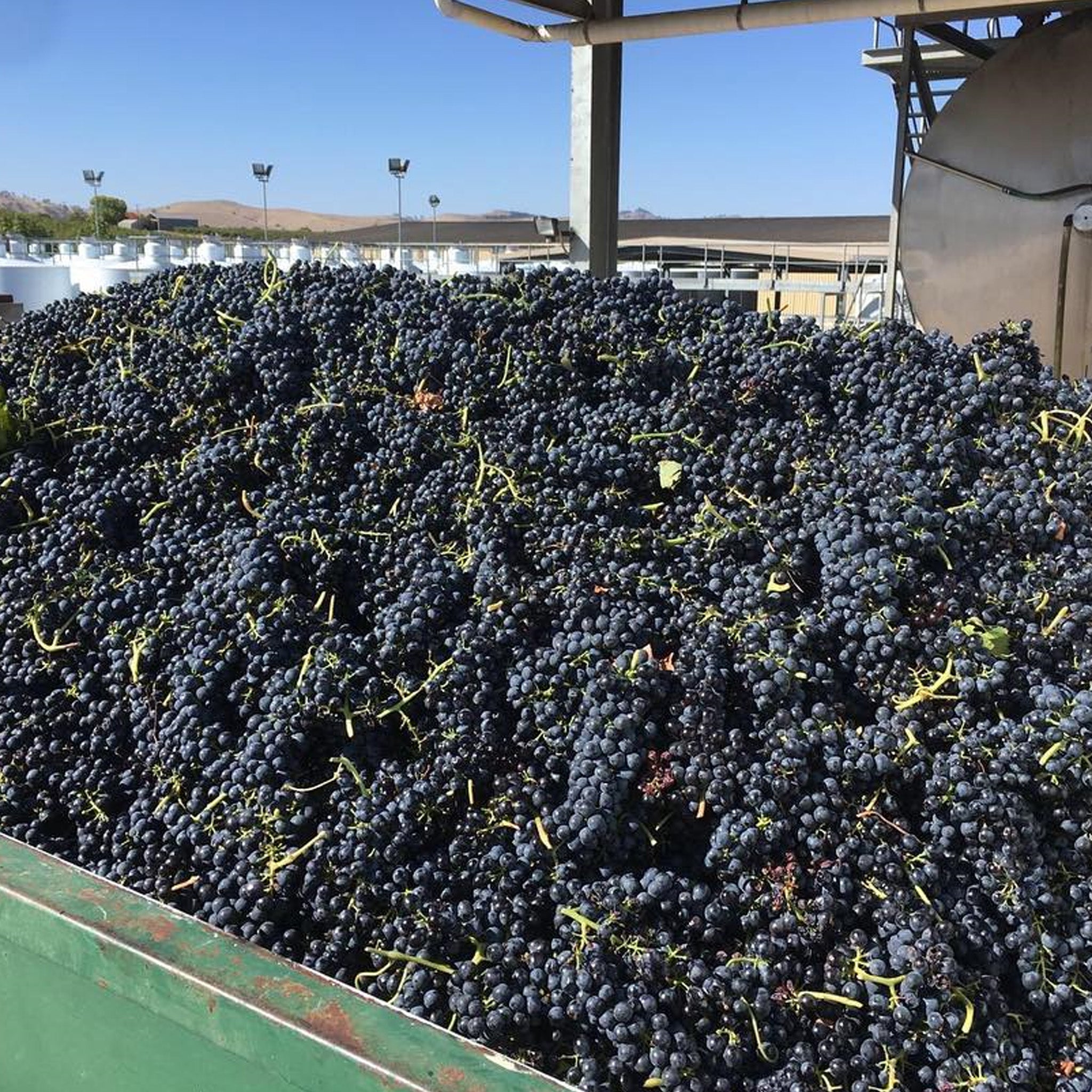 Ben Glaetzer Bishop Shiraz 2022