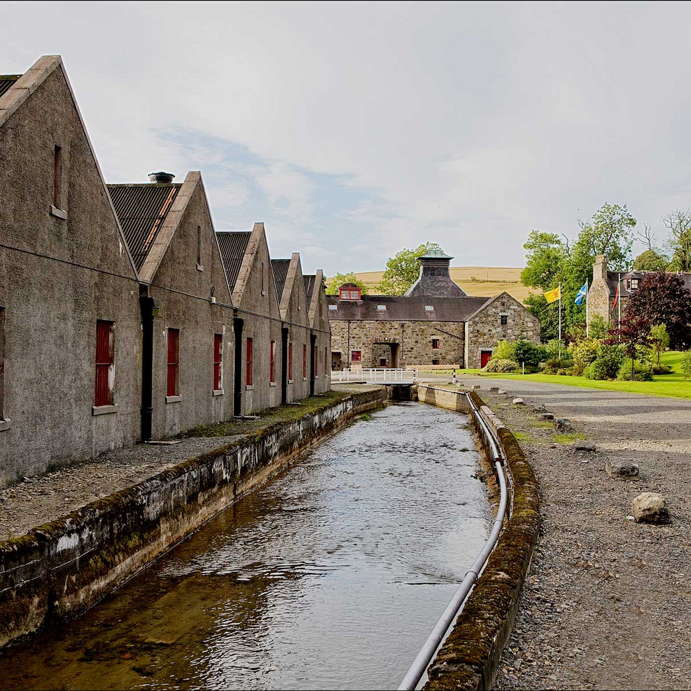 The Glendronach Cask Strength Batch 12 Single Malt Scotch Whisky 700ml - Kent Street Cellars