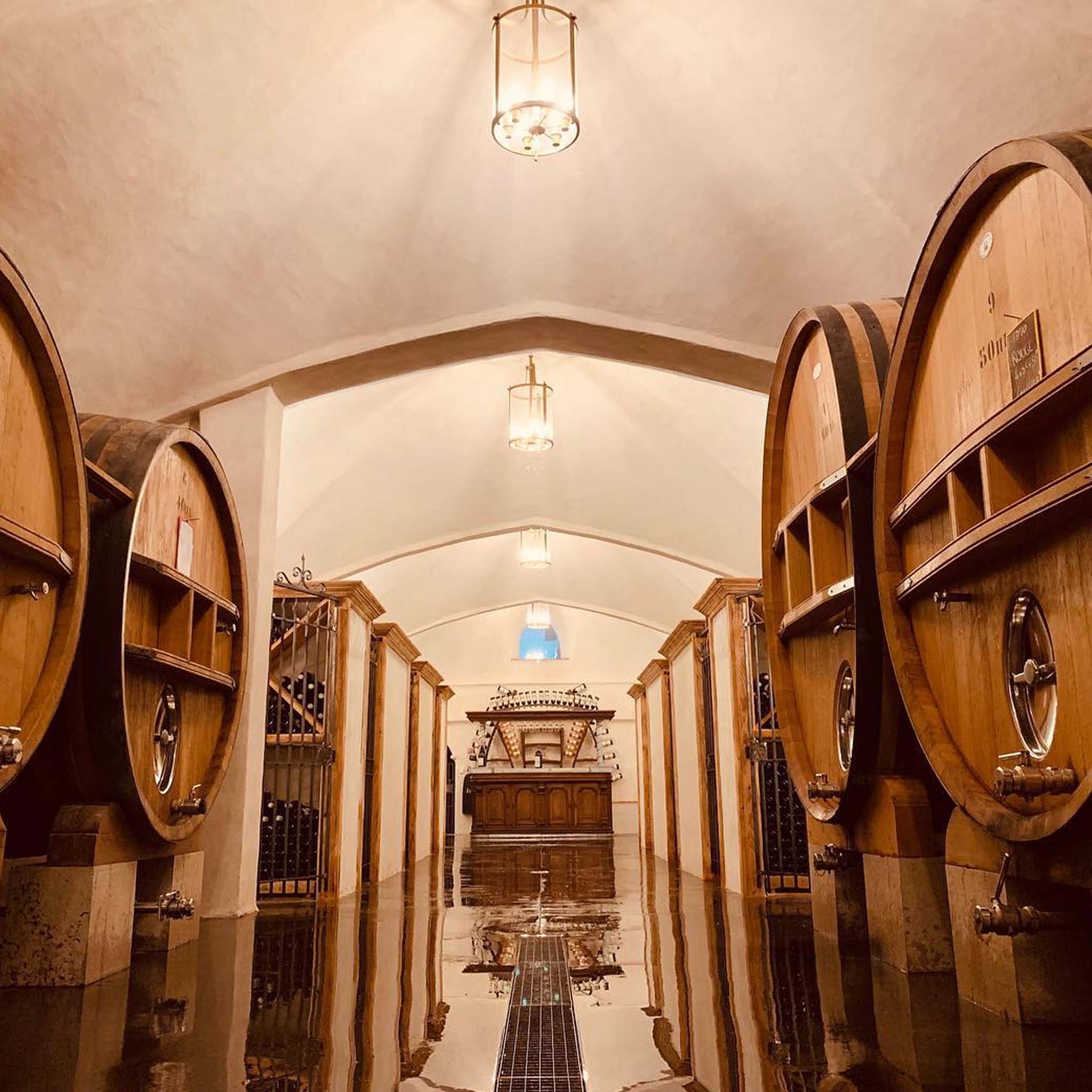 Domaine du Gros Nore Bandol Rose 2024