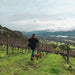 Giant Steps team are totally rapt after being named Winery of the Year and the 2023 Applejack Pinot Noir Best Pinot Noir at the 2025 Halliday Companion Awards. “It’s really wonderful to see the dedication and hard work of our entire Giant Steps team acknowledged in such a profound way,” says Melanie Chester. - Kent Street Cellars