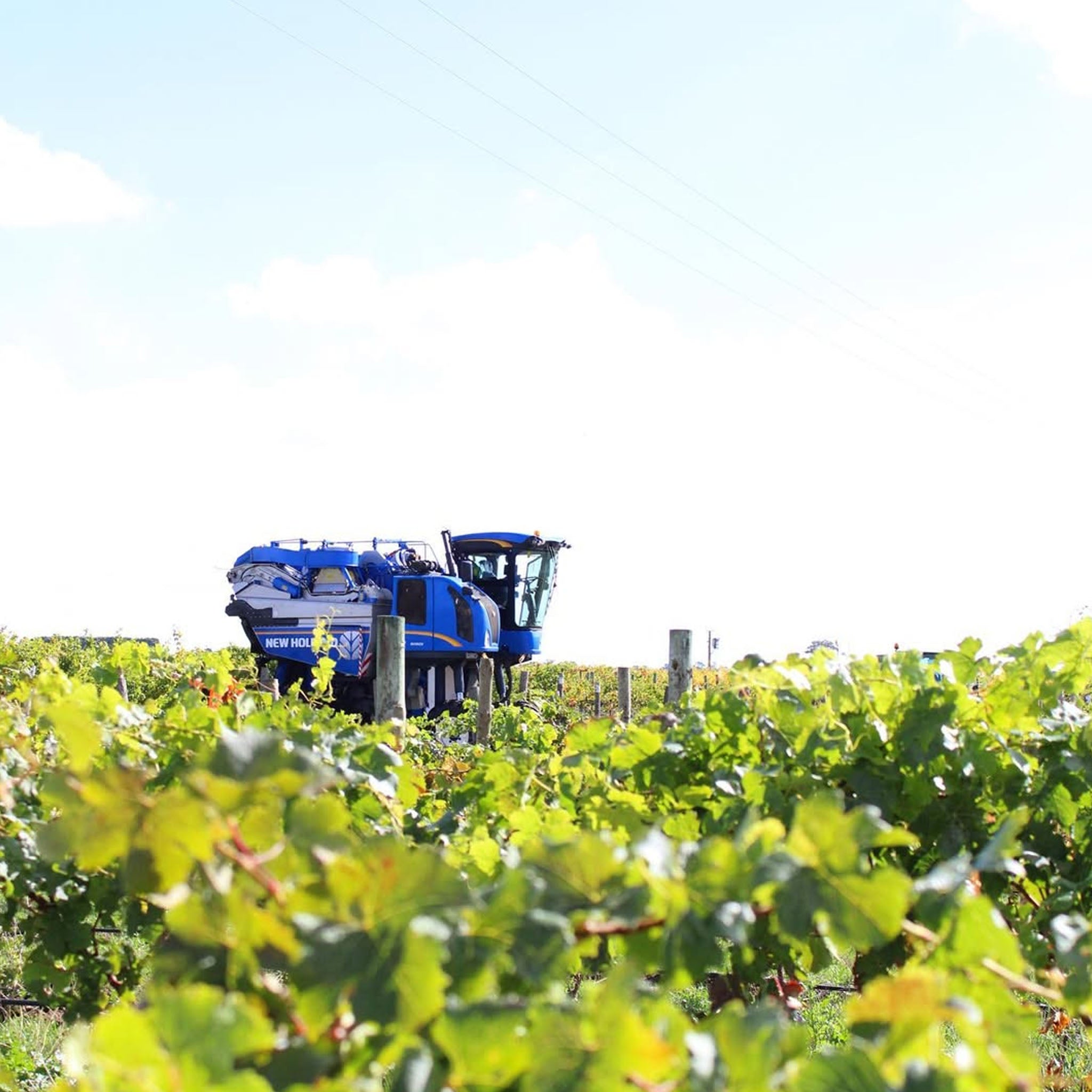 Parker Coonawarra Estate First Growth Cabernet Sauvignon 2021