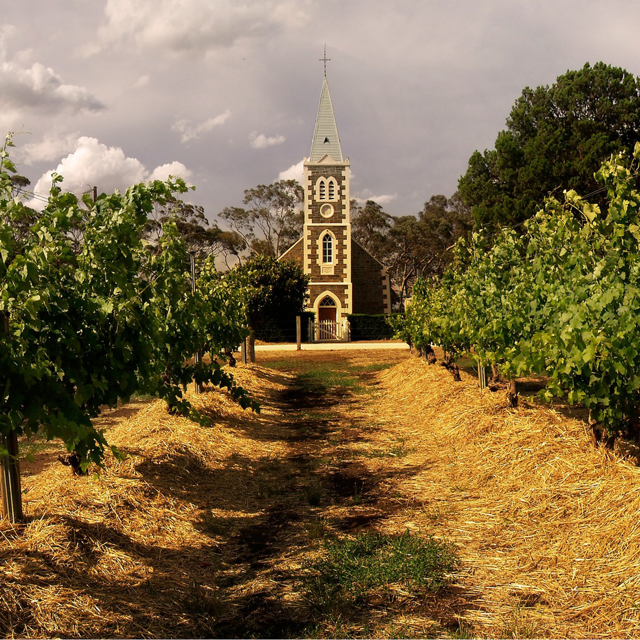 Henschke Giles Pinot Noir 2006