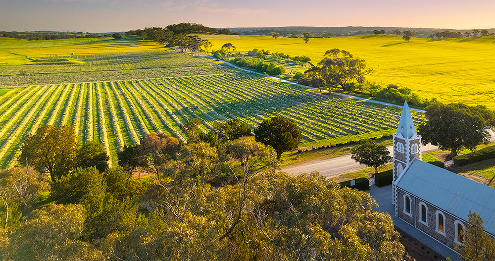 Henschke The Wheelwright Shiraz 2018 - Kent Street Cellars