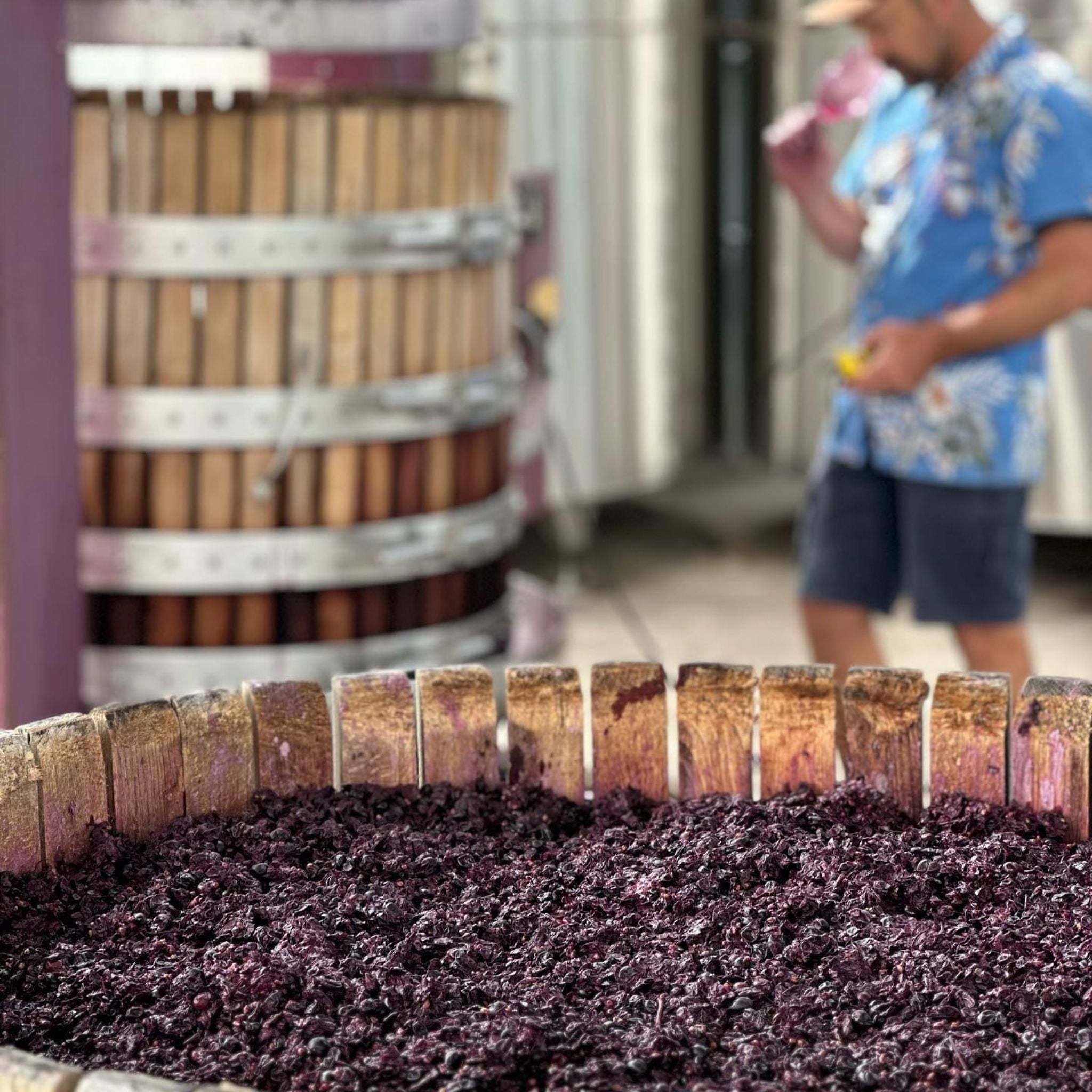 Hentley Farm The Beauty Shiraz 2022
