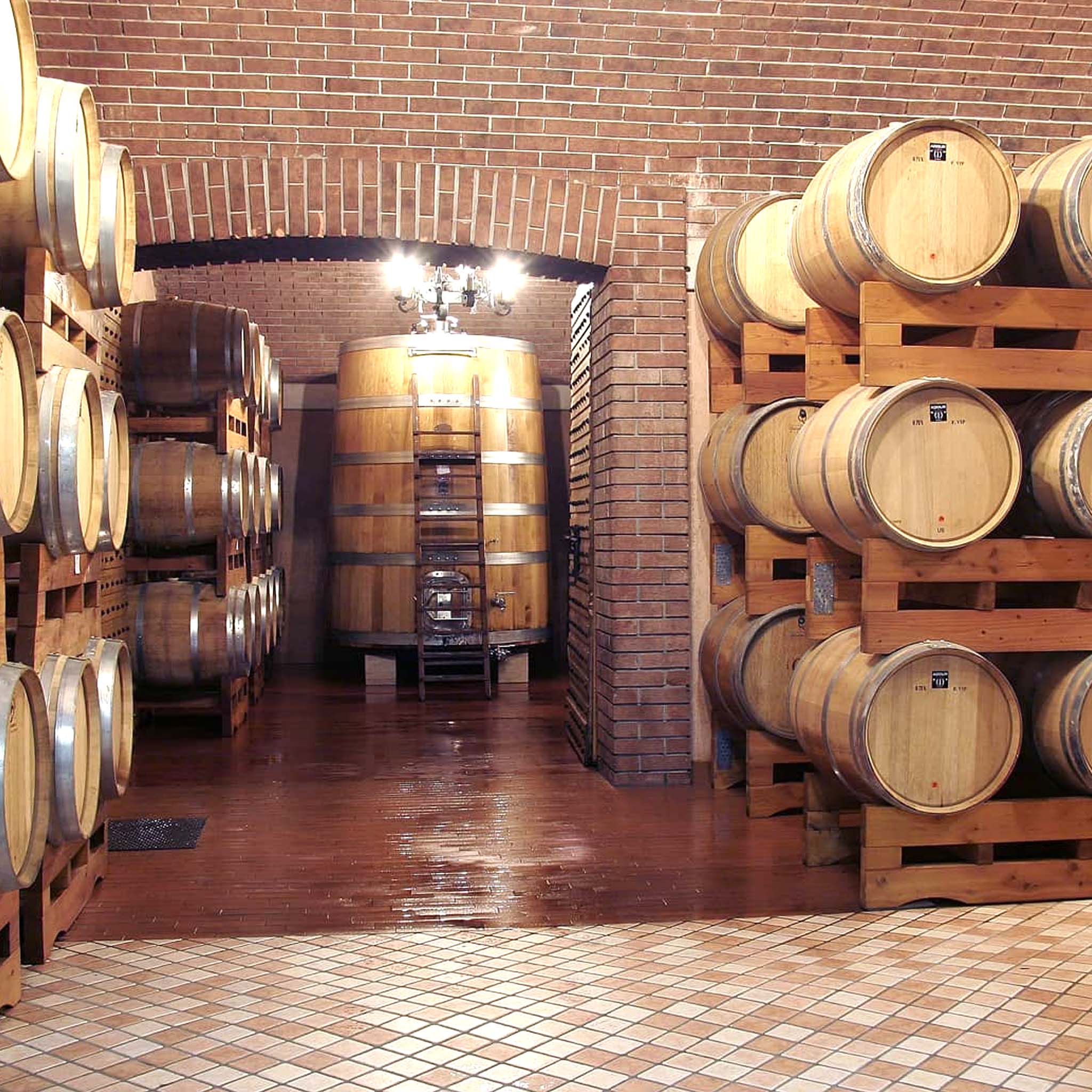 i Castei Amarone Della Valpolicella Classico 2017