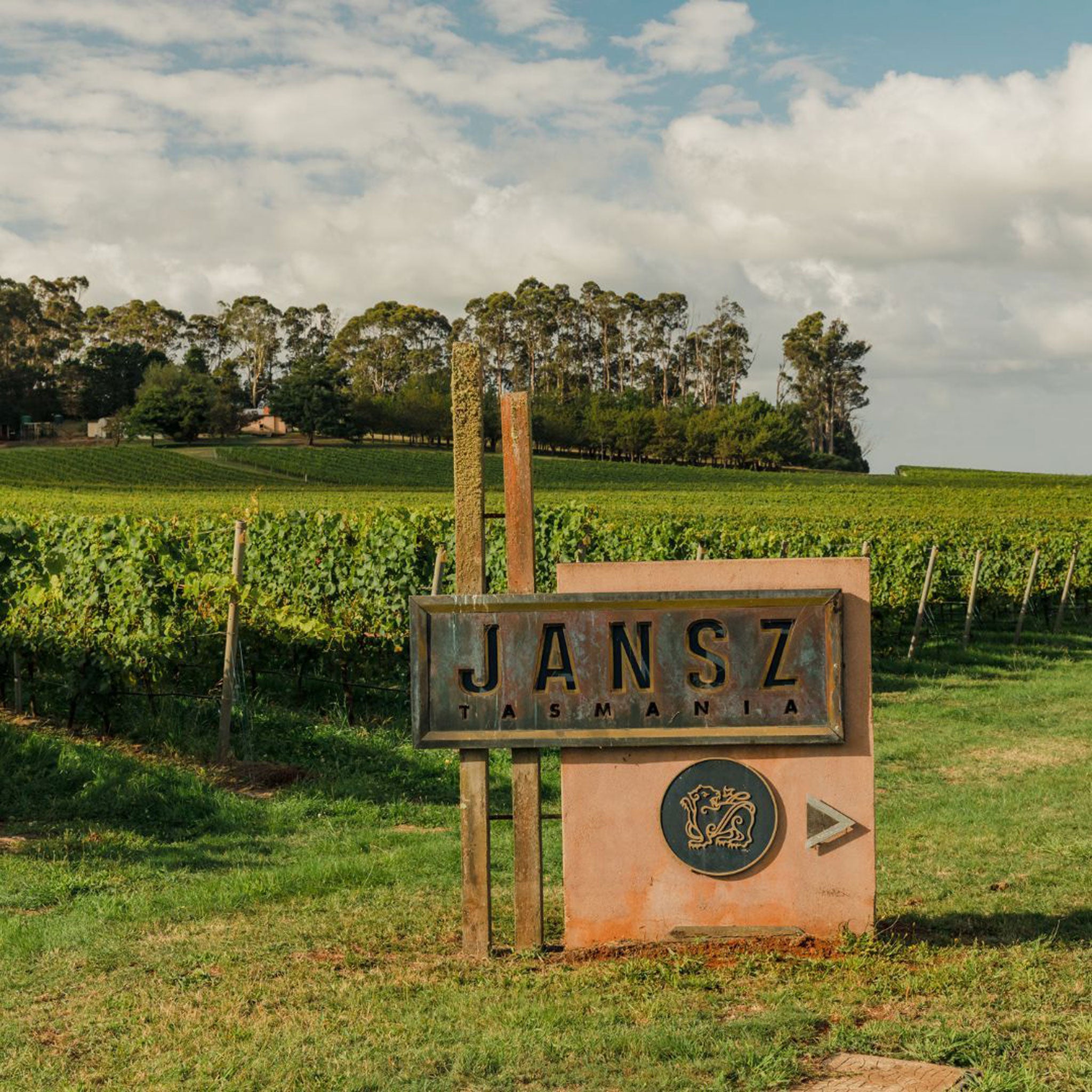 The Vineyard | Jansz