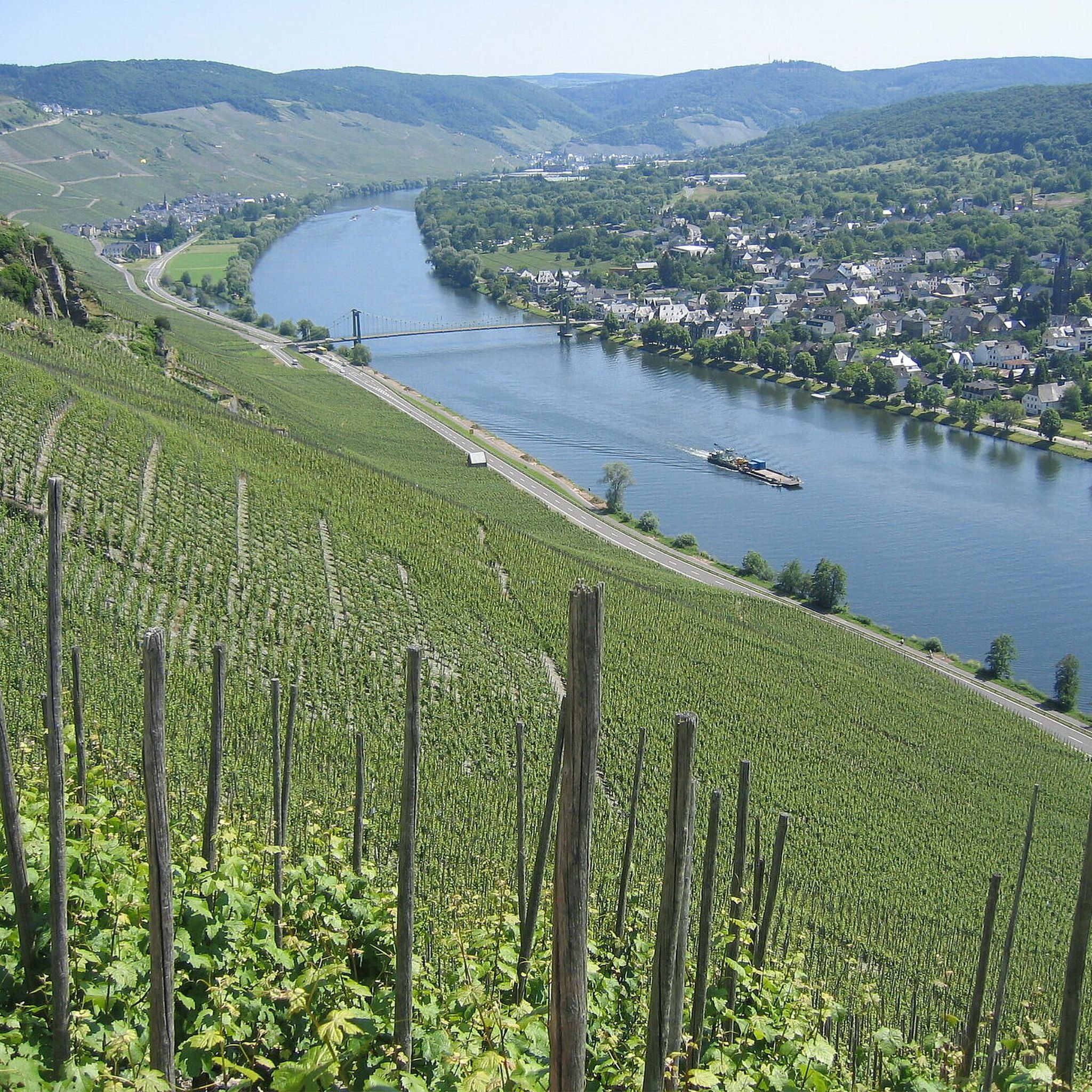 Joh Jos Prüm Wehlener Sonnenuhr Riesling Kabinett 2022