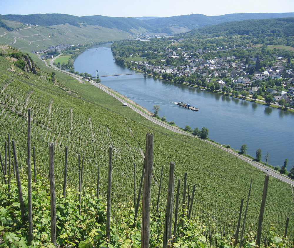 Joh Jos Prüm Graacher Himmelreich Riesling Spätlese 2020 - Kent Street Cellars