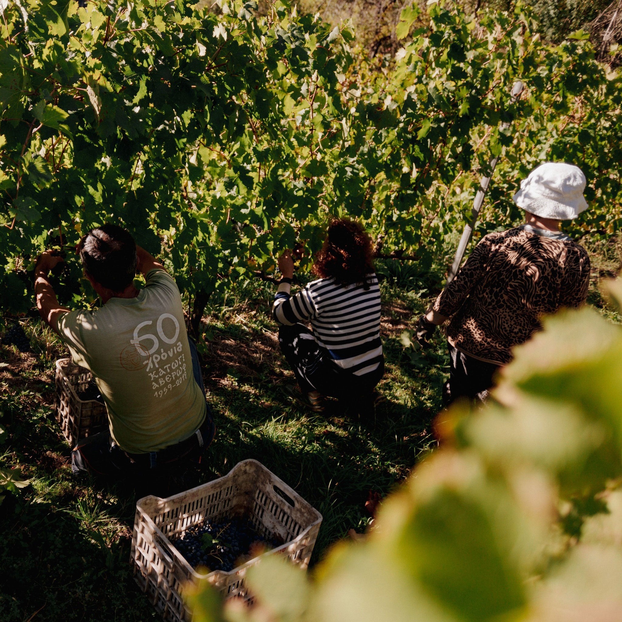 Philosophy | Katogi Averoff