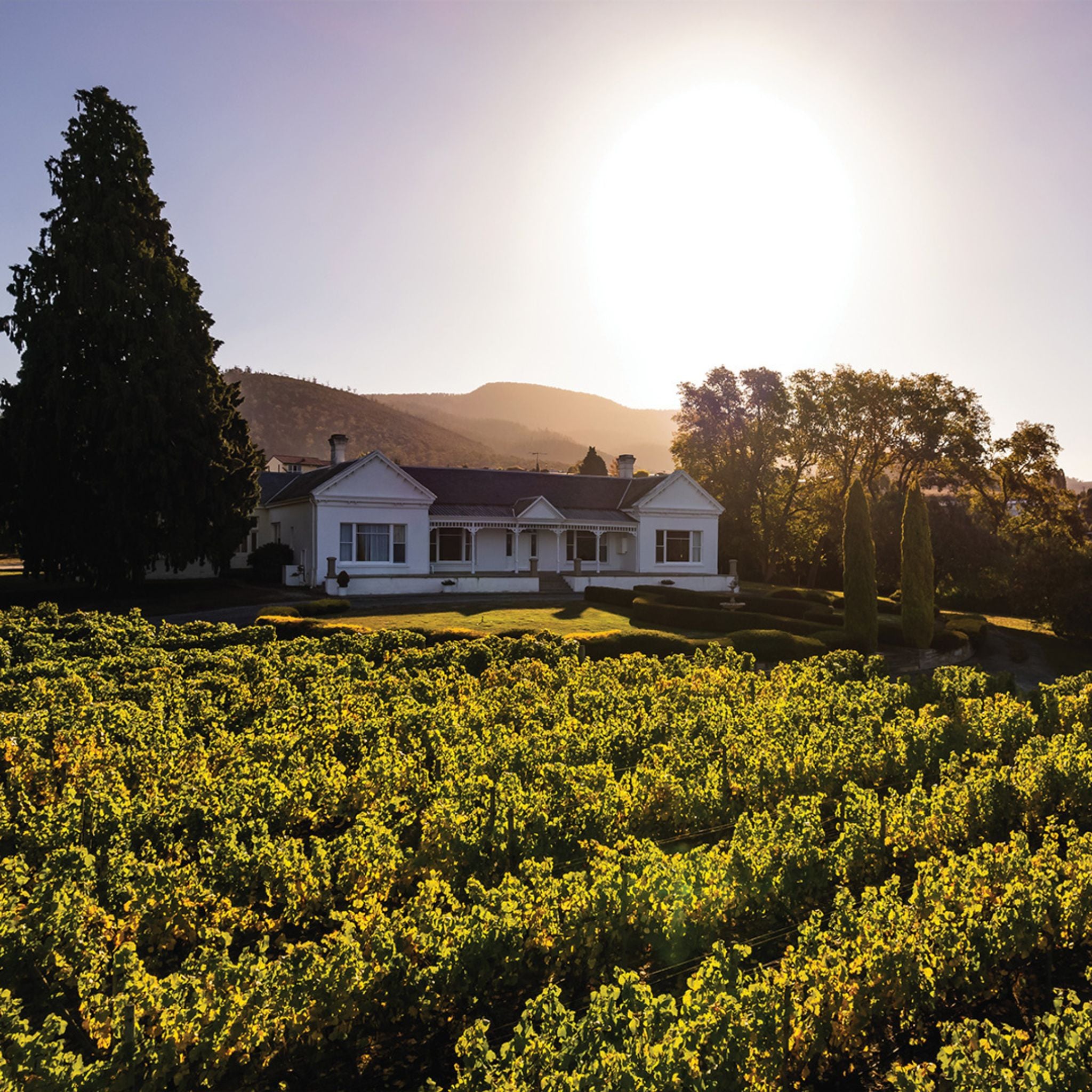 Lowestoft Estate Chardonnay 2021