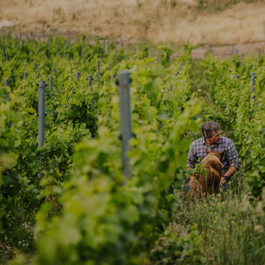 Stefano Lubiana - Kent Street Cellars