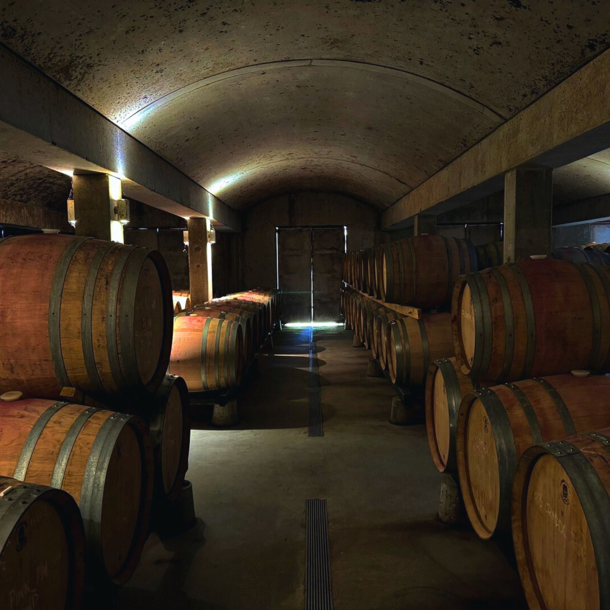 Stefano Lubiana Primavera Pinot Noir 2023