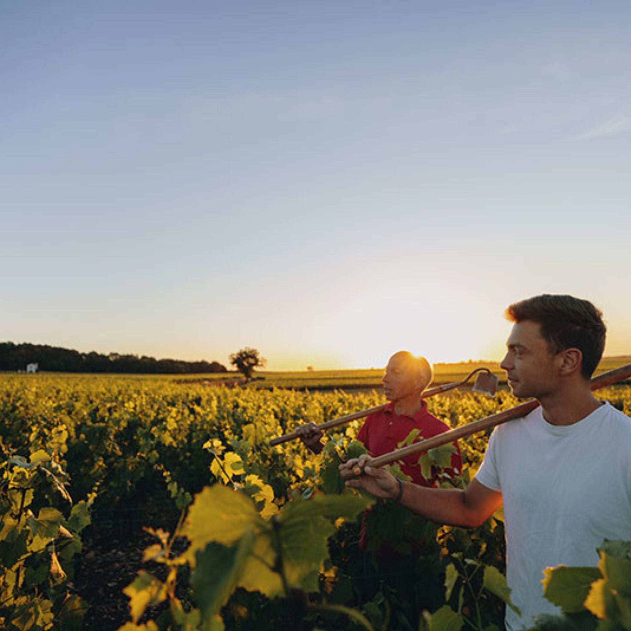 Domaine Paul Chavy Gevrey Chambertin 2022