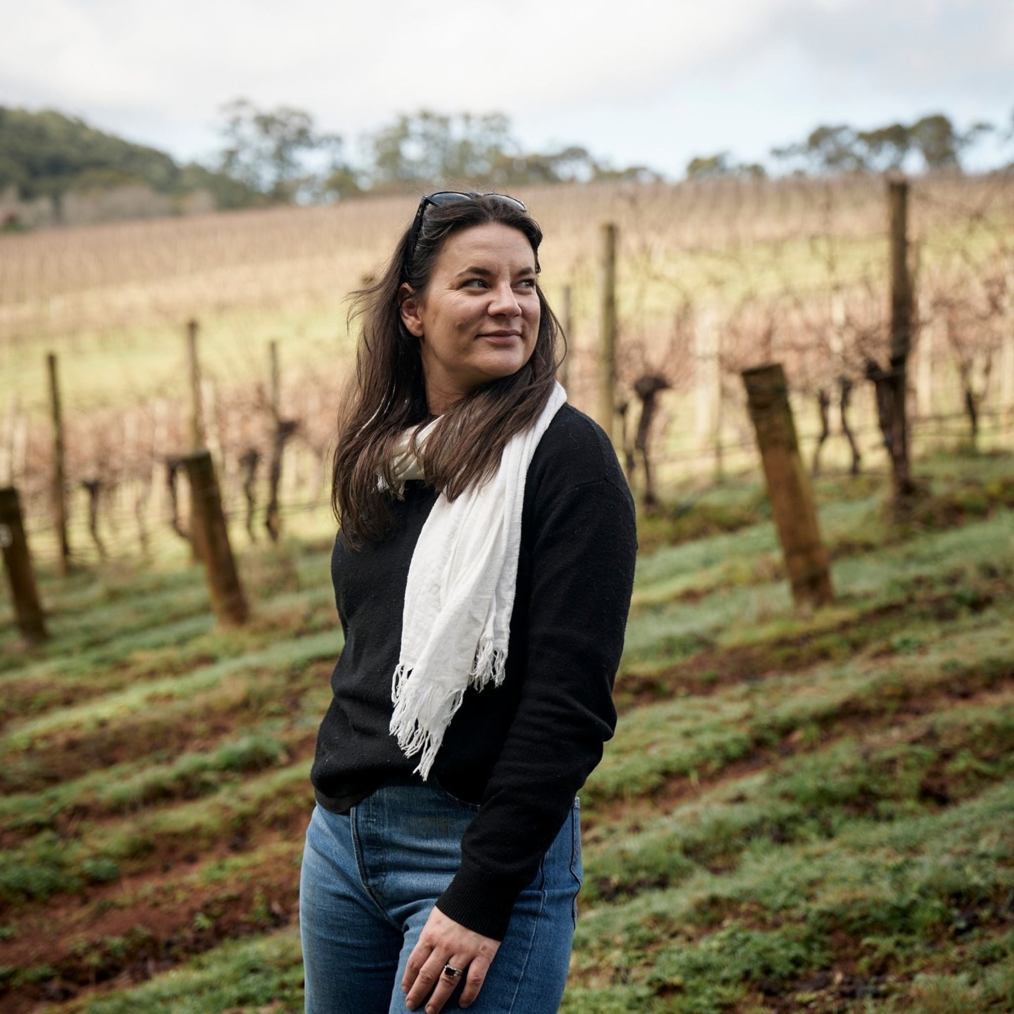 Giant Steps Yarra Valley Rose 2024