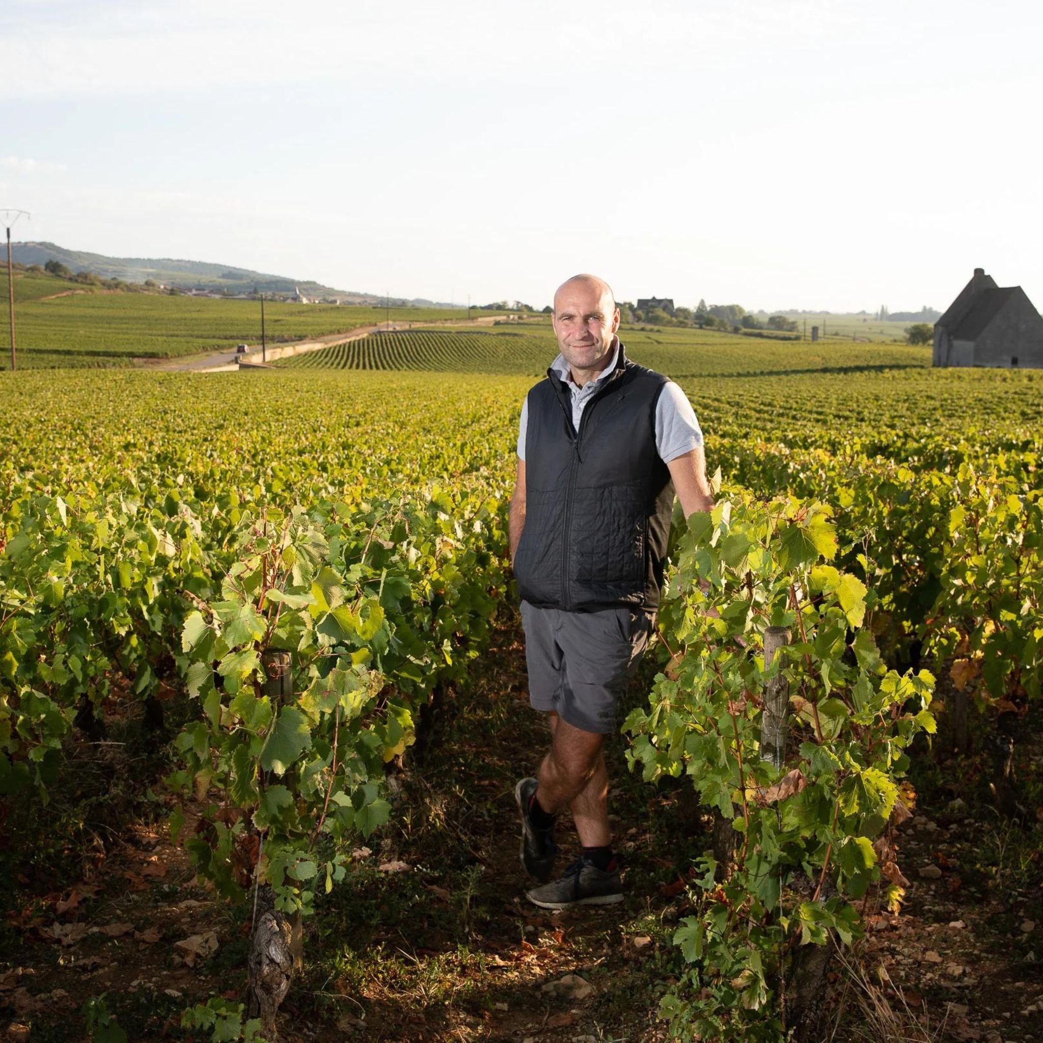 Pierre-Yves Colin-Morey Bourgogne Blanc 2022