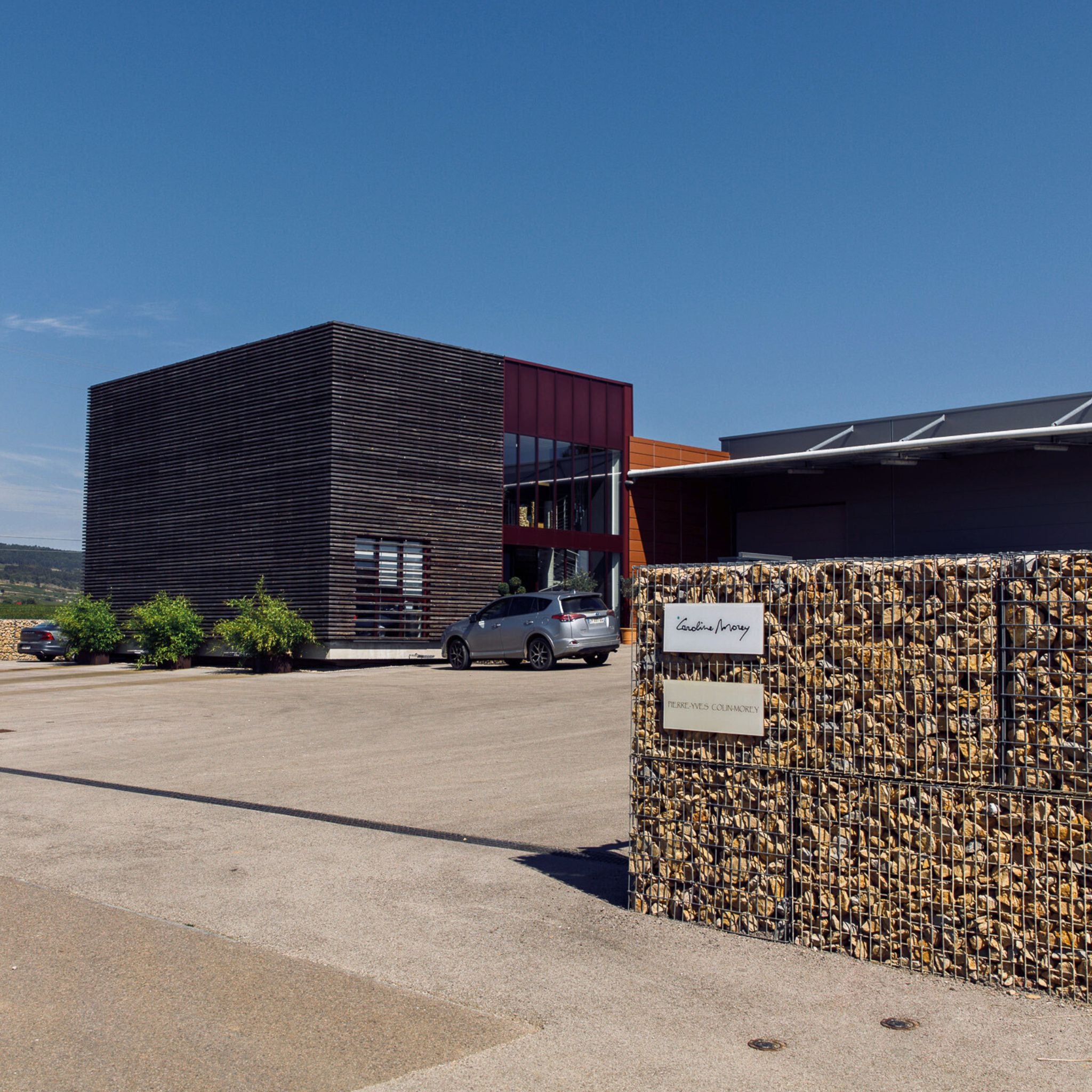 Caroline Morey Beaune 1er Cru Greves Rouge 2022