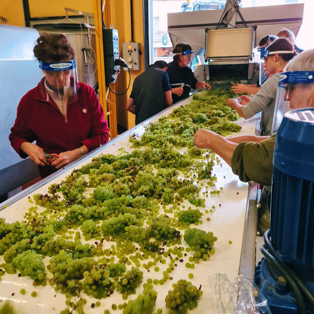 Domaine Christian Moreau Père Et Fils Chablis 2023