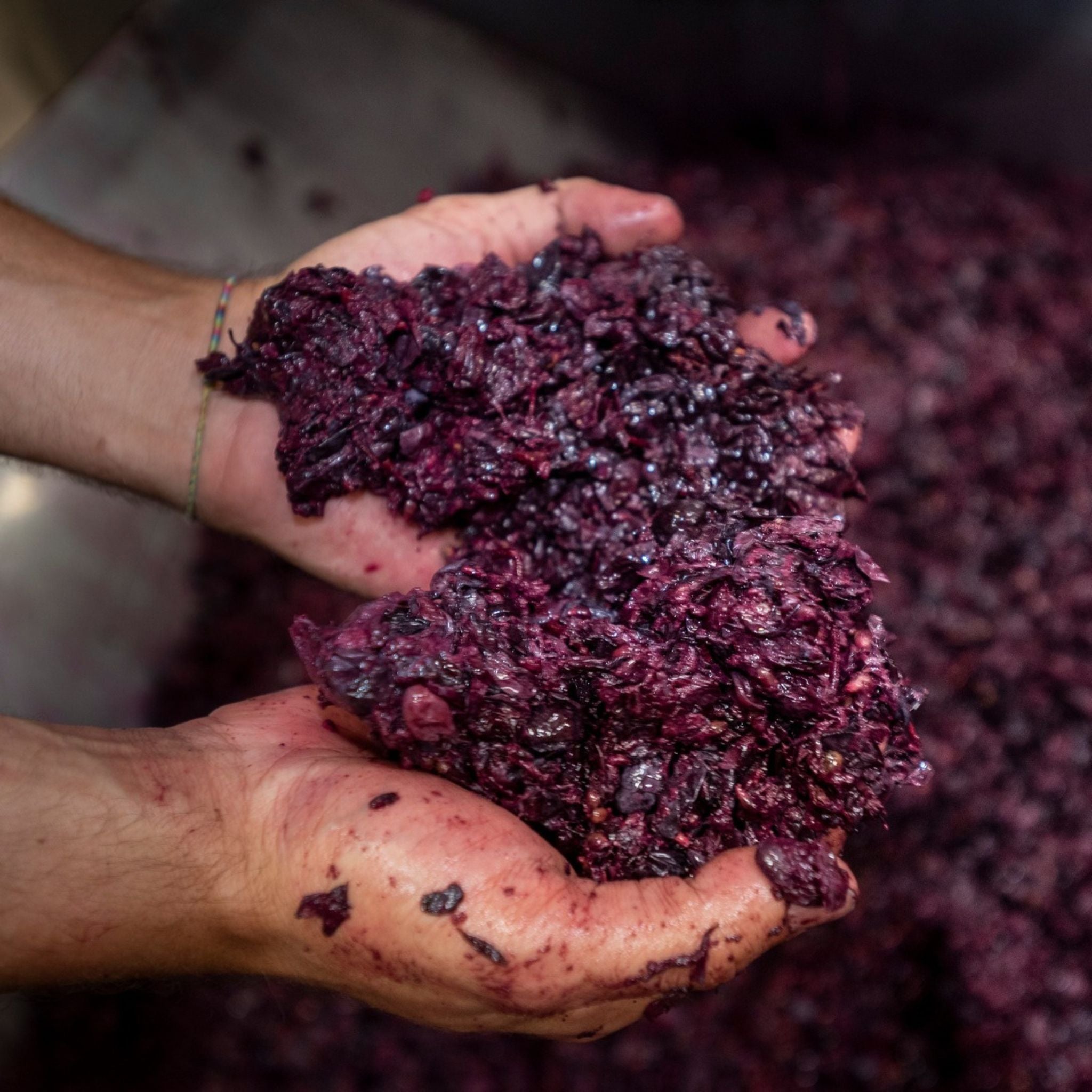 Massolino Barolo Margheria 2020