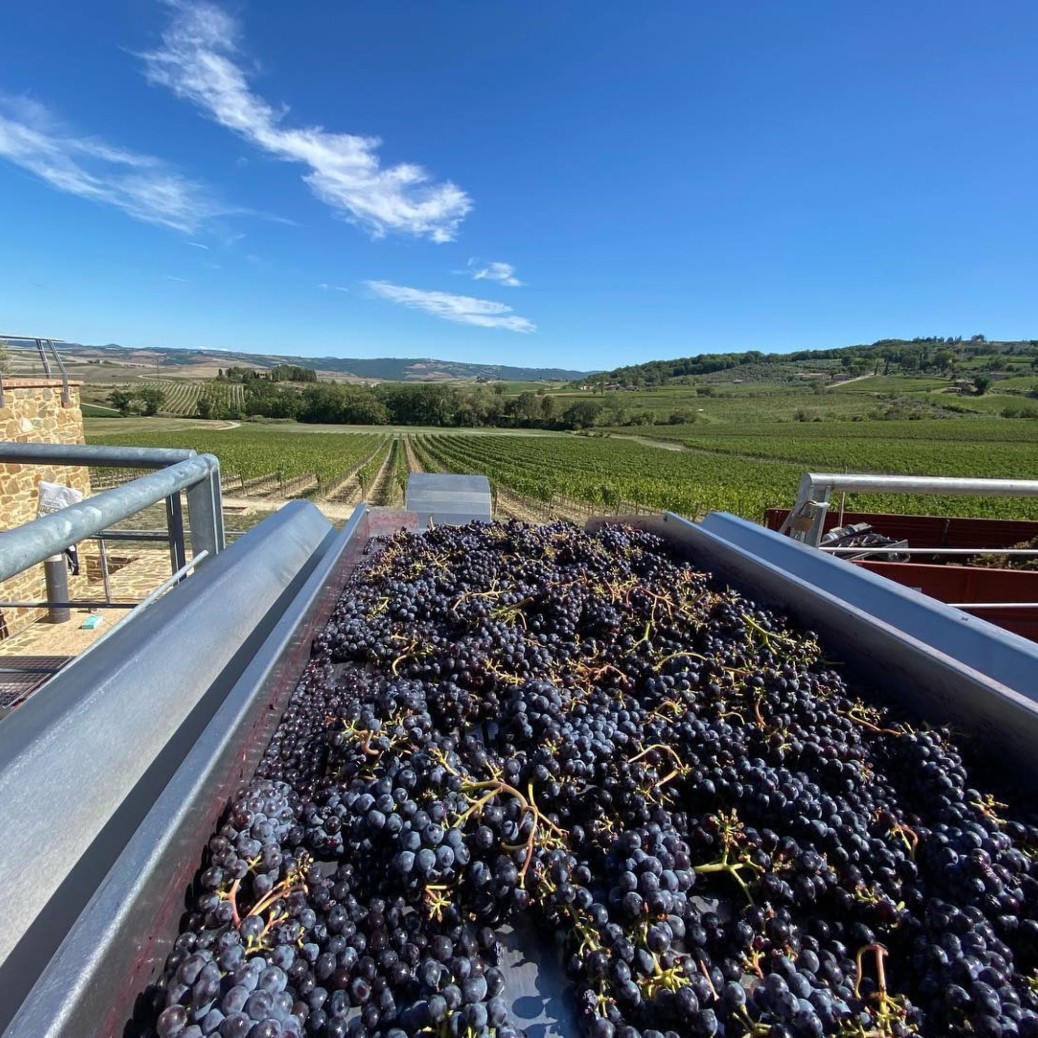 Canalicchio di Sopra Brunello di Montalcino 2019