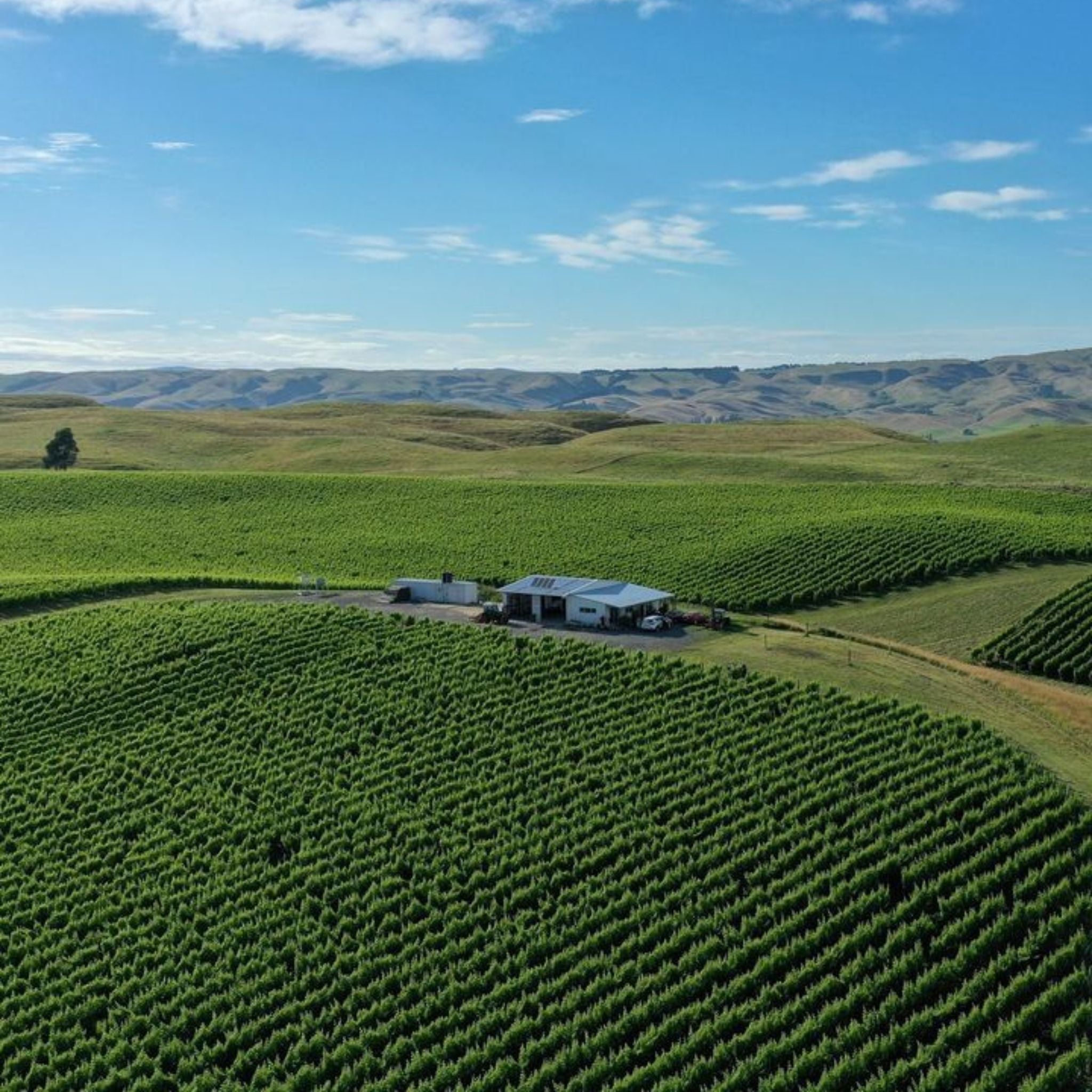 Kumeu River Hunting Hill Vineyard Chardonnay 2023