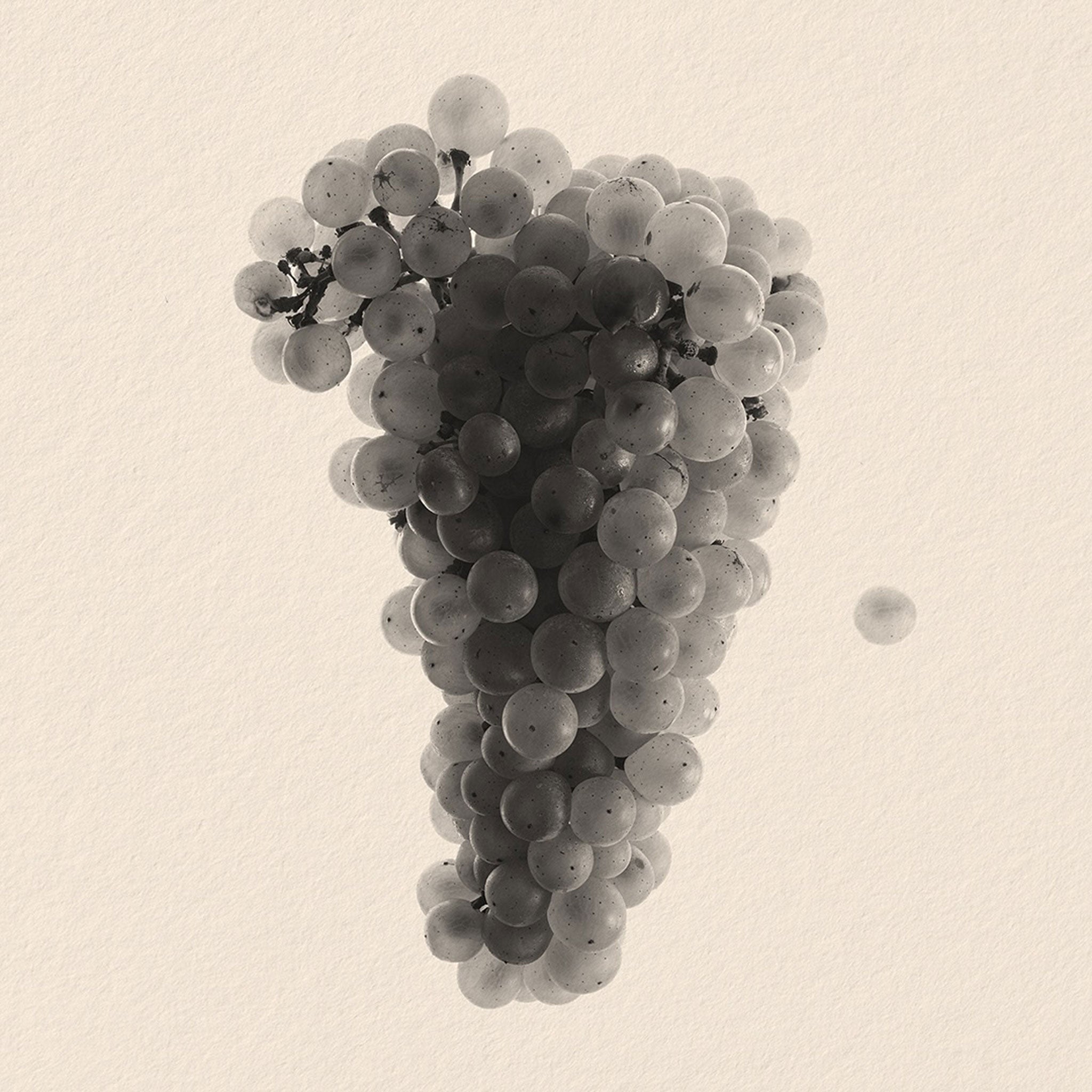 Laurent-Perrier Alexandra Grande Cuvée Rosé 2012