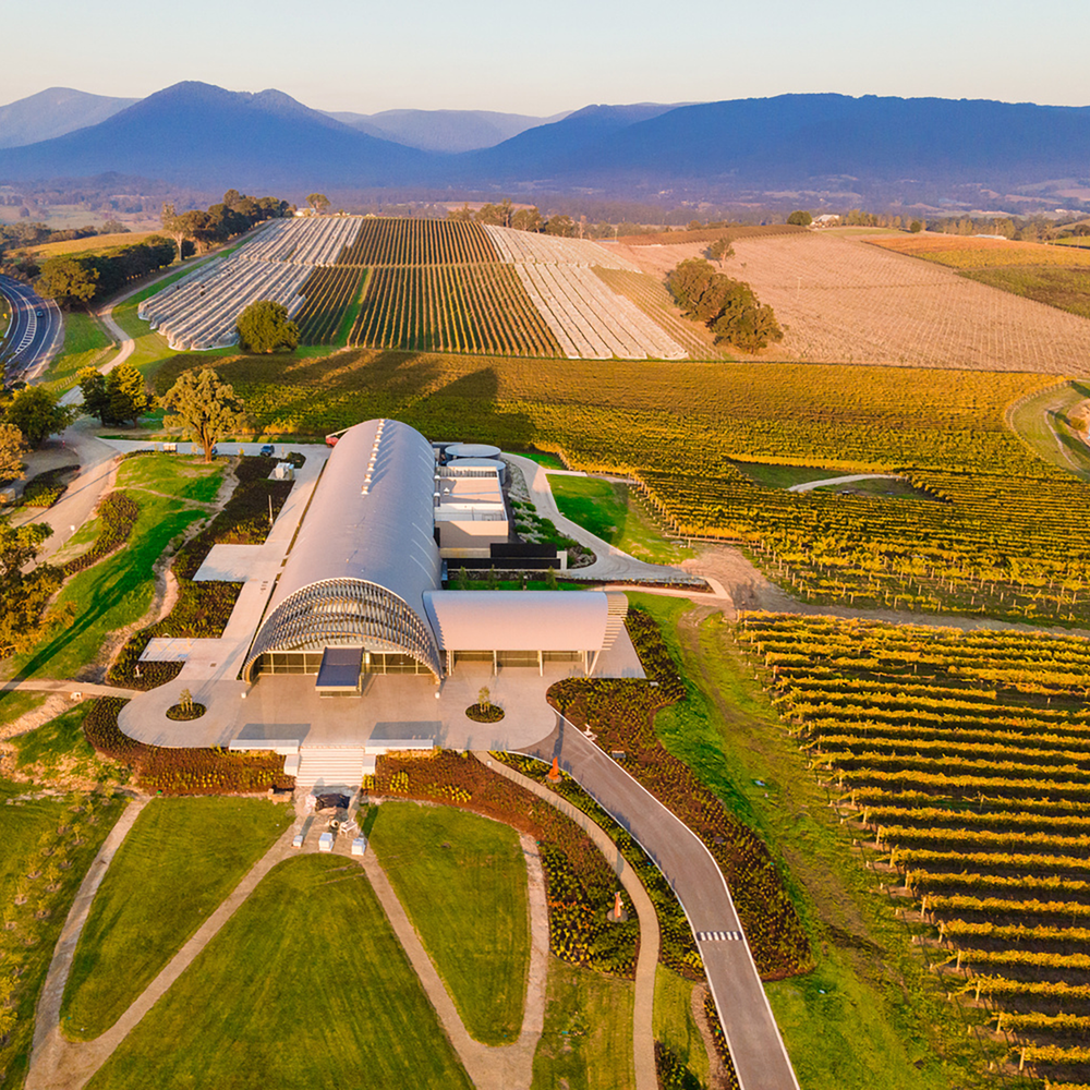 Levantine Hill Estate Syrah 2018 - Kent Street Cellars