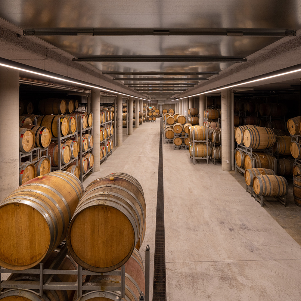 Levantine Hill Estate Syrah 2018 - Kent Street Cellars