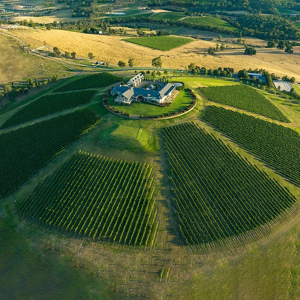 Levantine Hill Estate Syrah 2018 - Kent Street Cellars