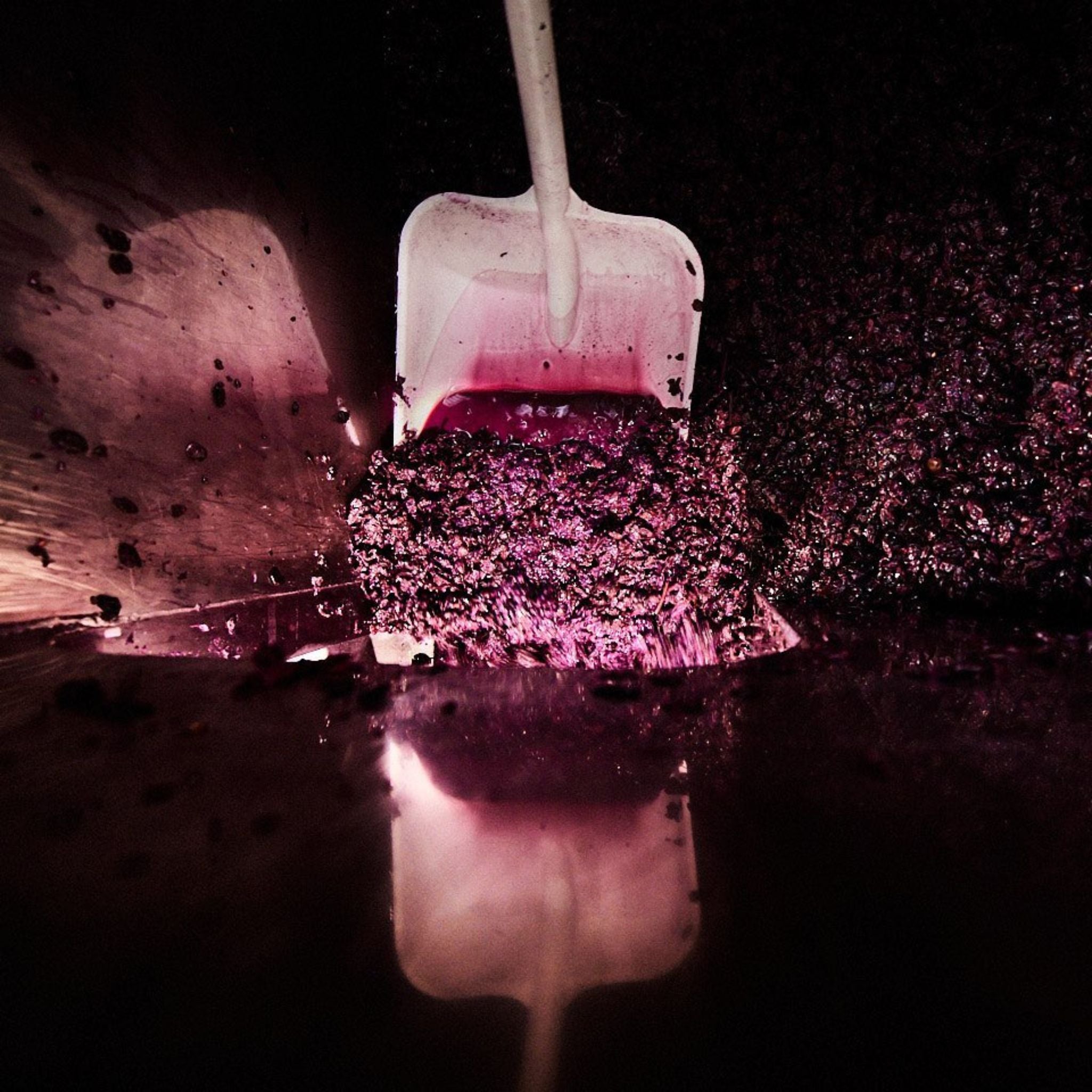 Clonakilla Shiraz Viognier 2023